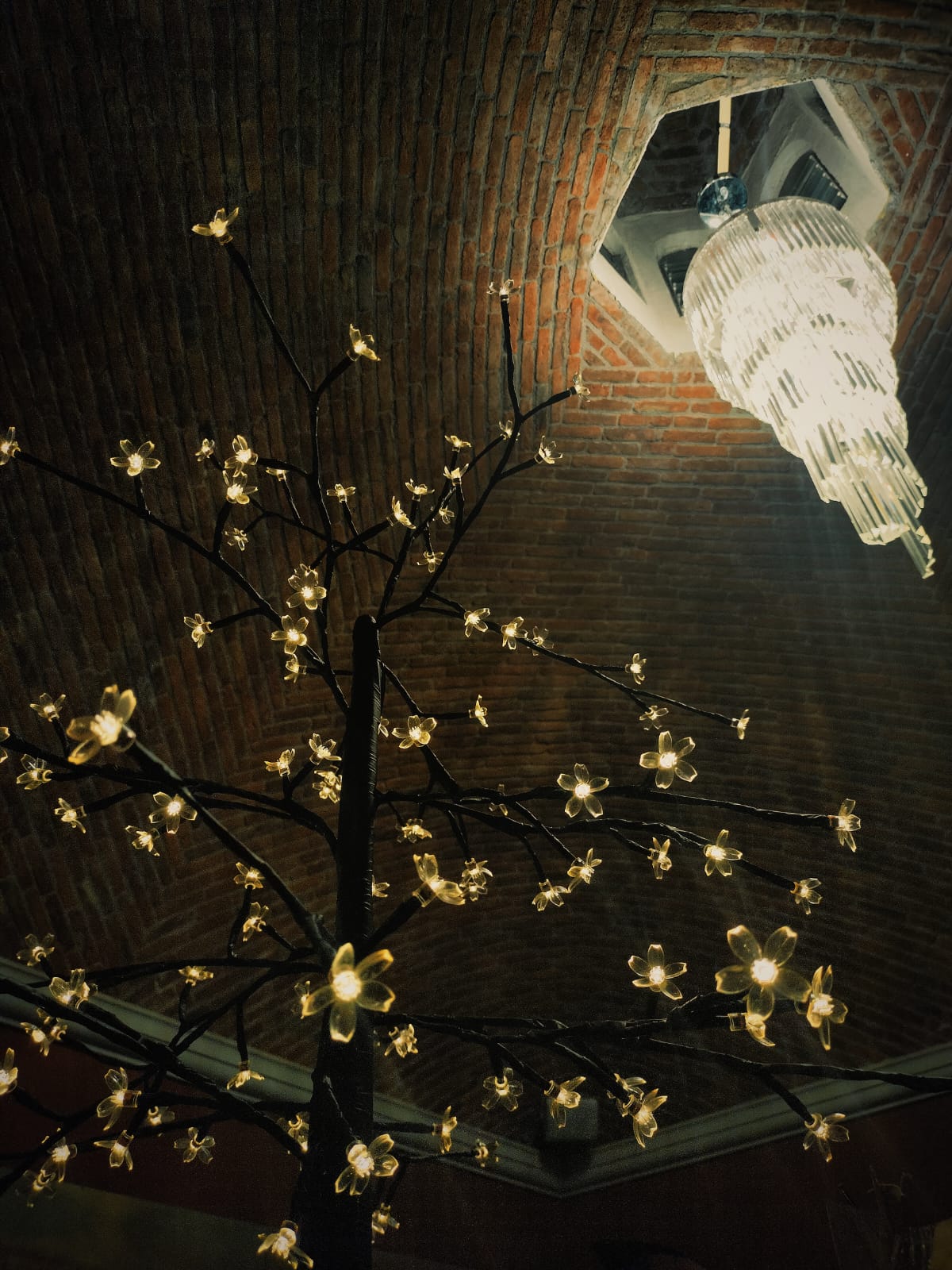 Casa Bohemia image 8