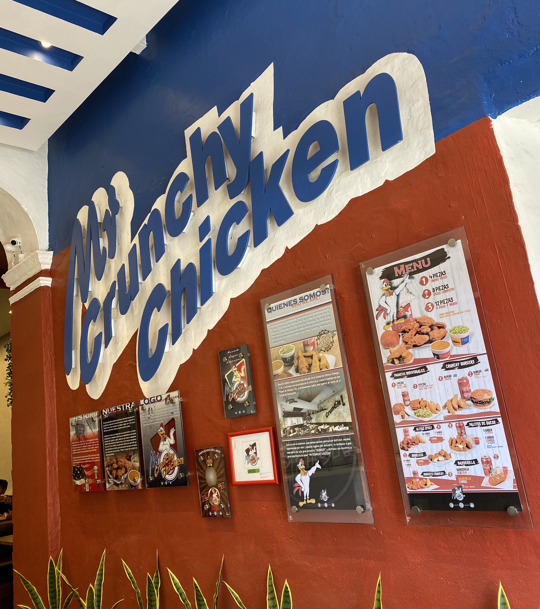 Mr Crunchy Chicken Dolores Hidalgo, Gto. Suc. Yucatan image 8