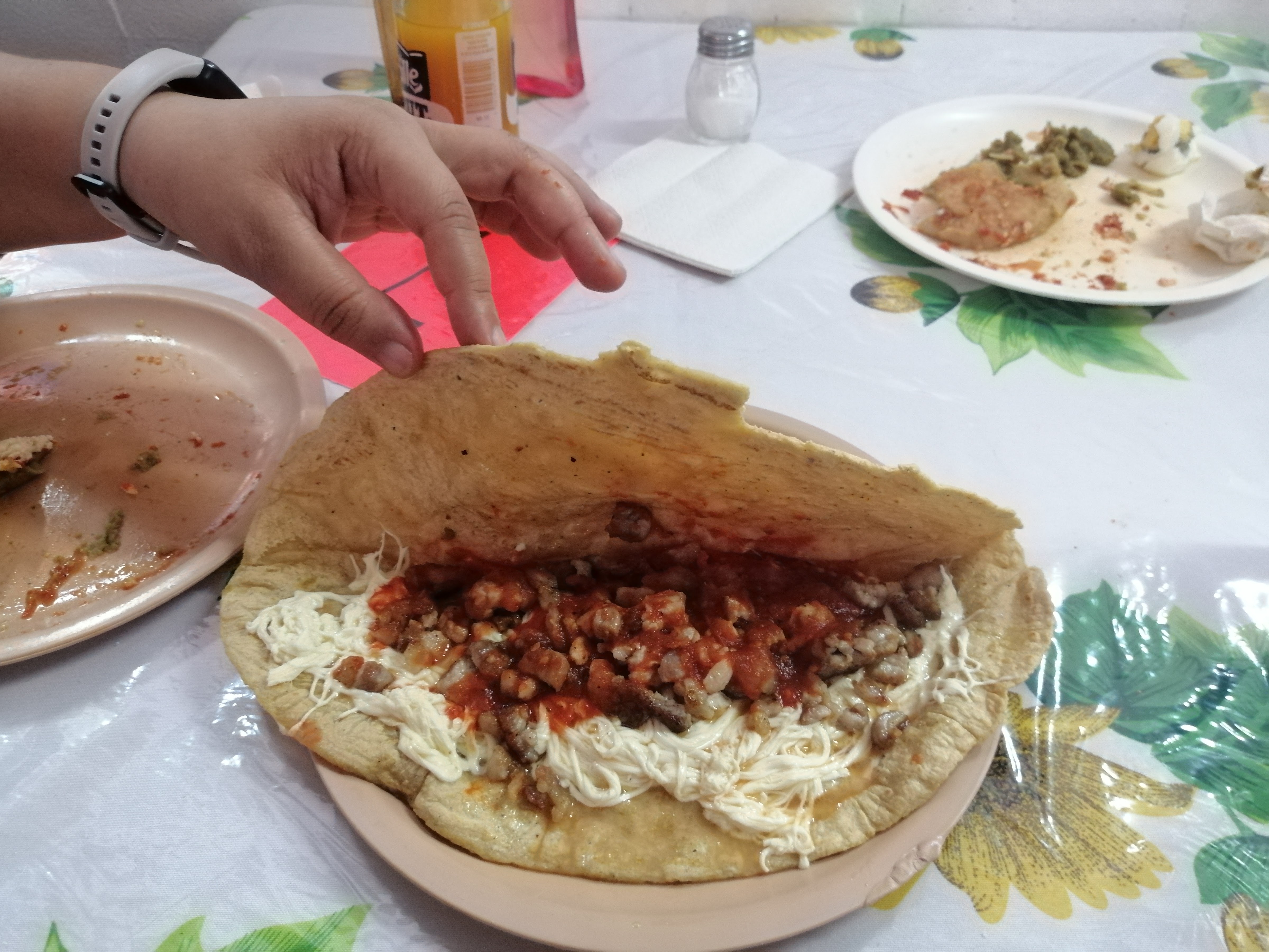 Tlayoyos Doña Bertha image 1