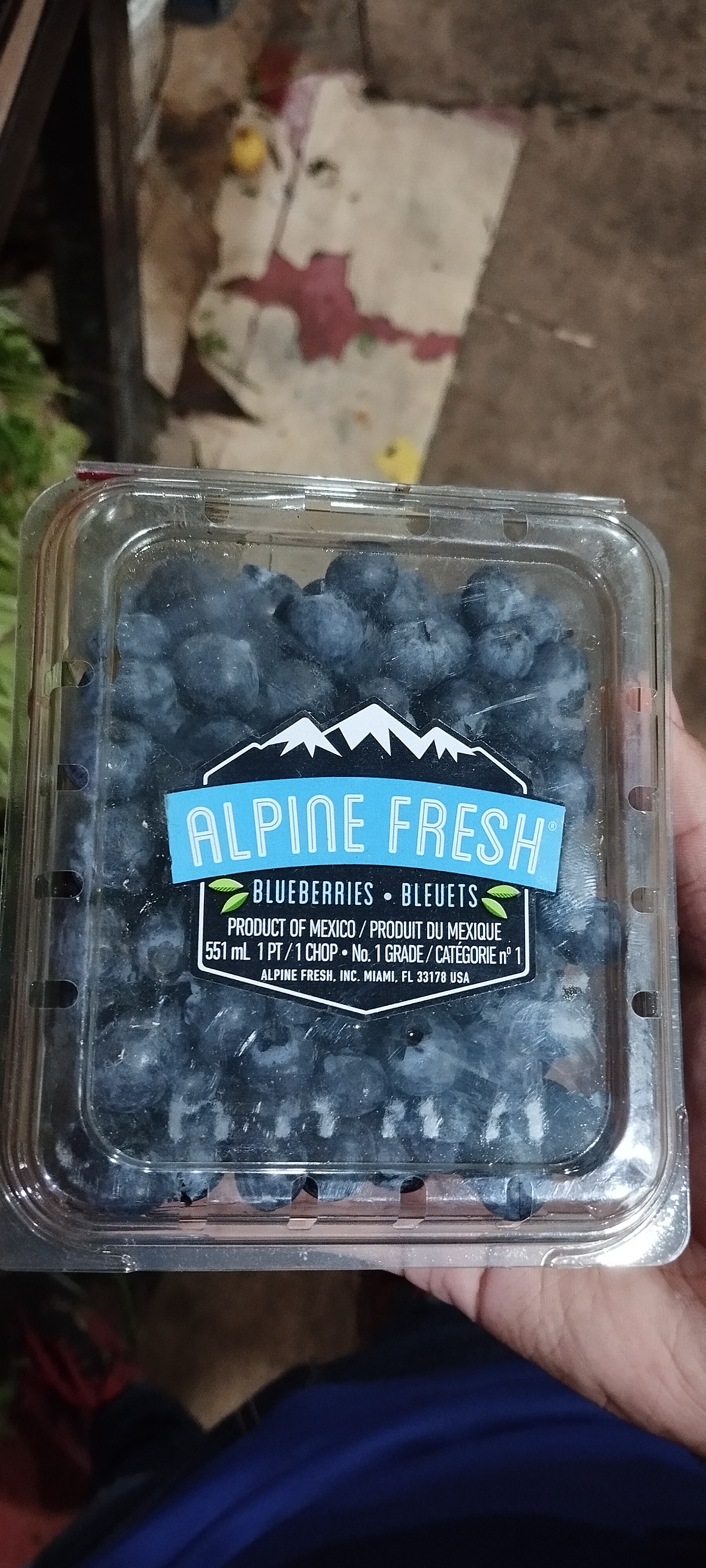 Comedor Don Gato image 5