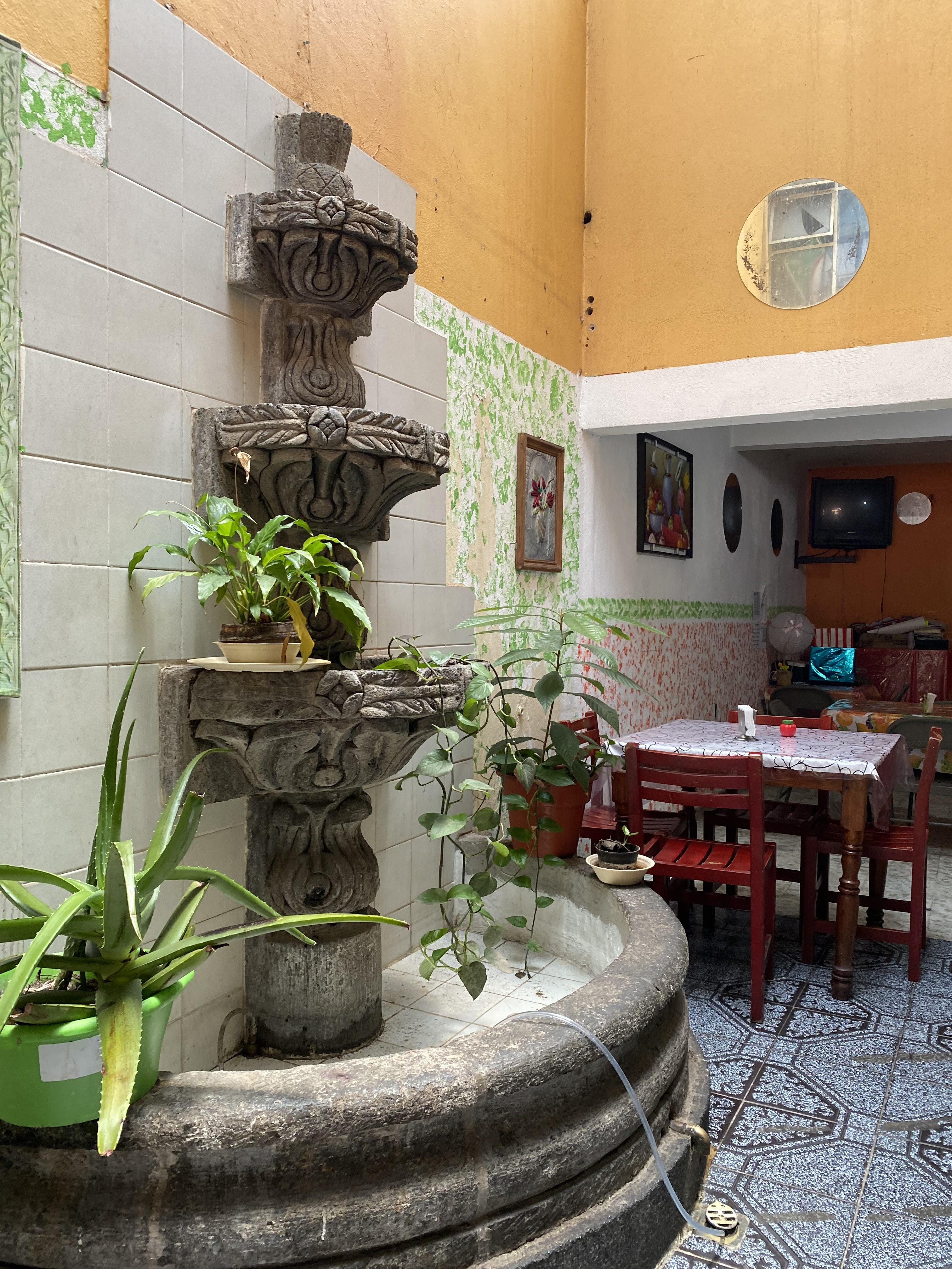 El Buen Comer image 3