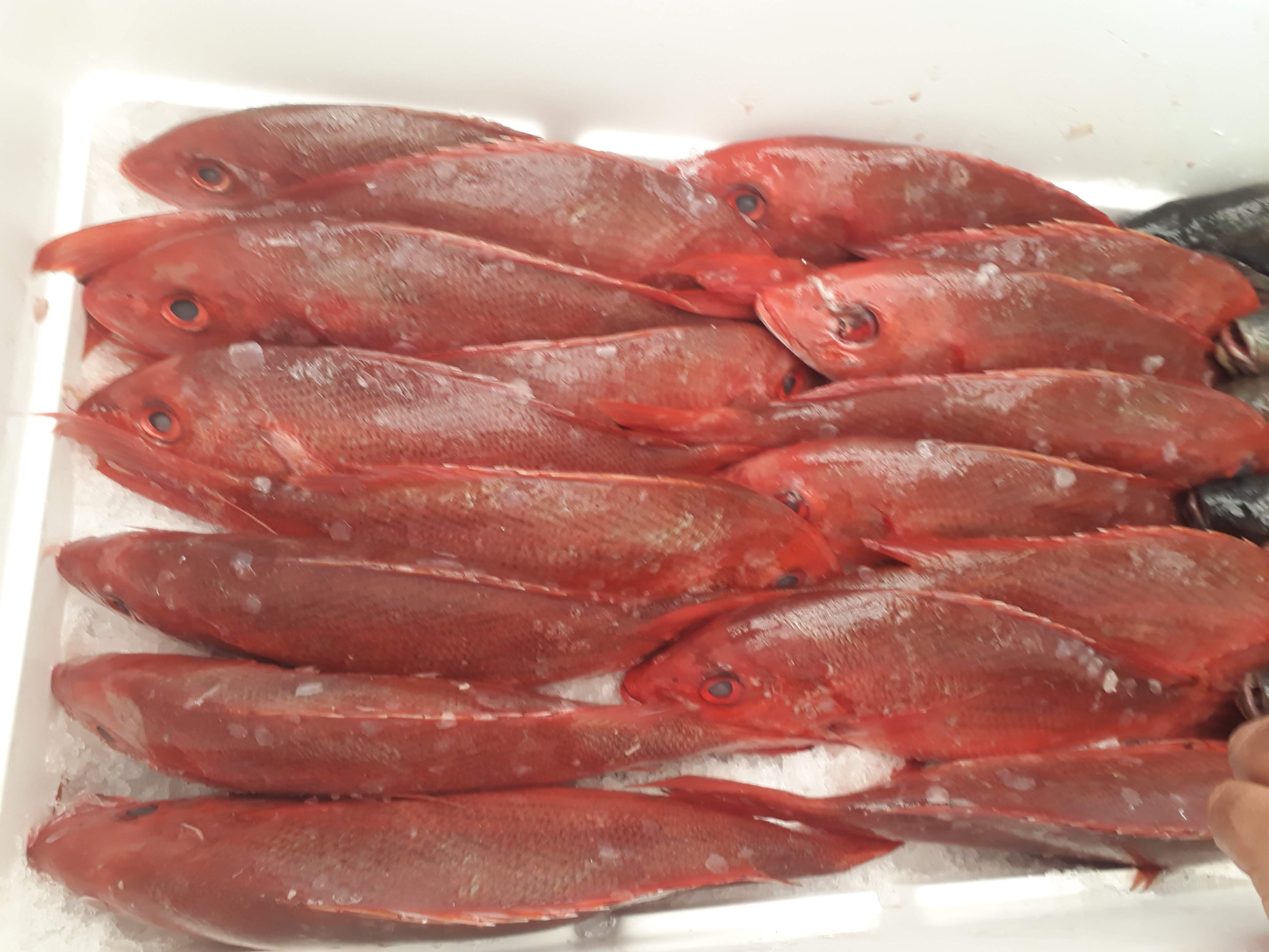 “Acámbarones” image 6