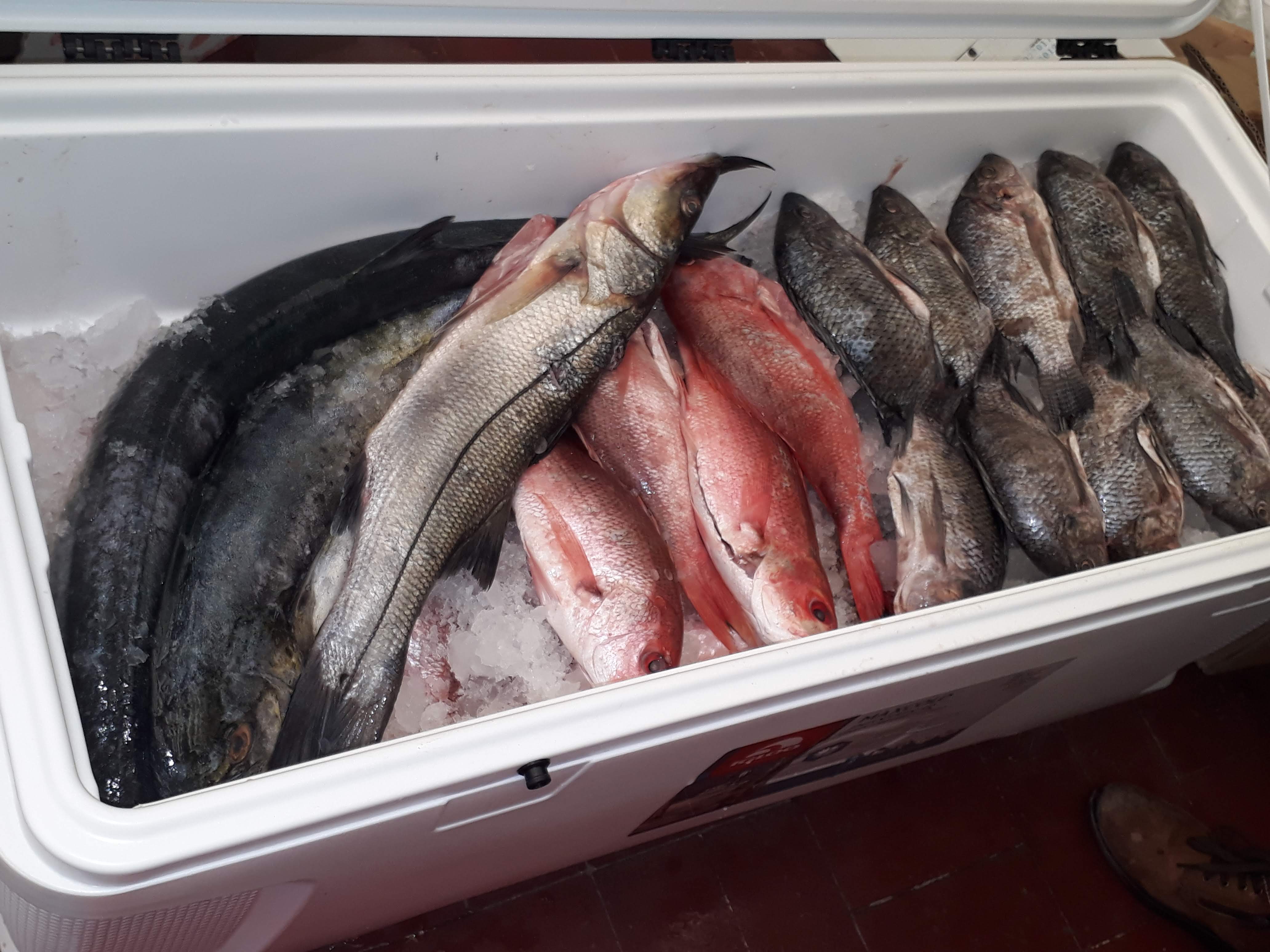 “Acámbarones” image 8