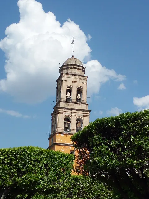 Sanomango image 5