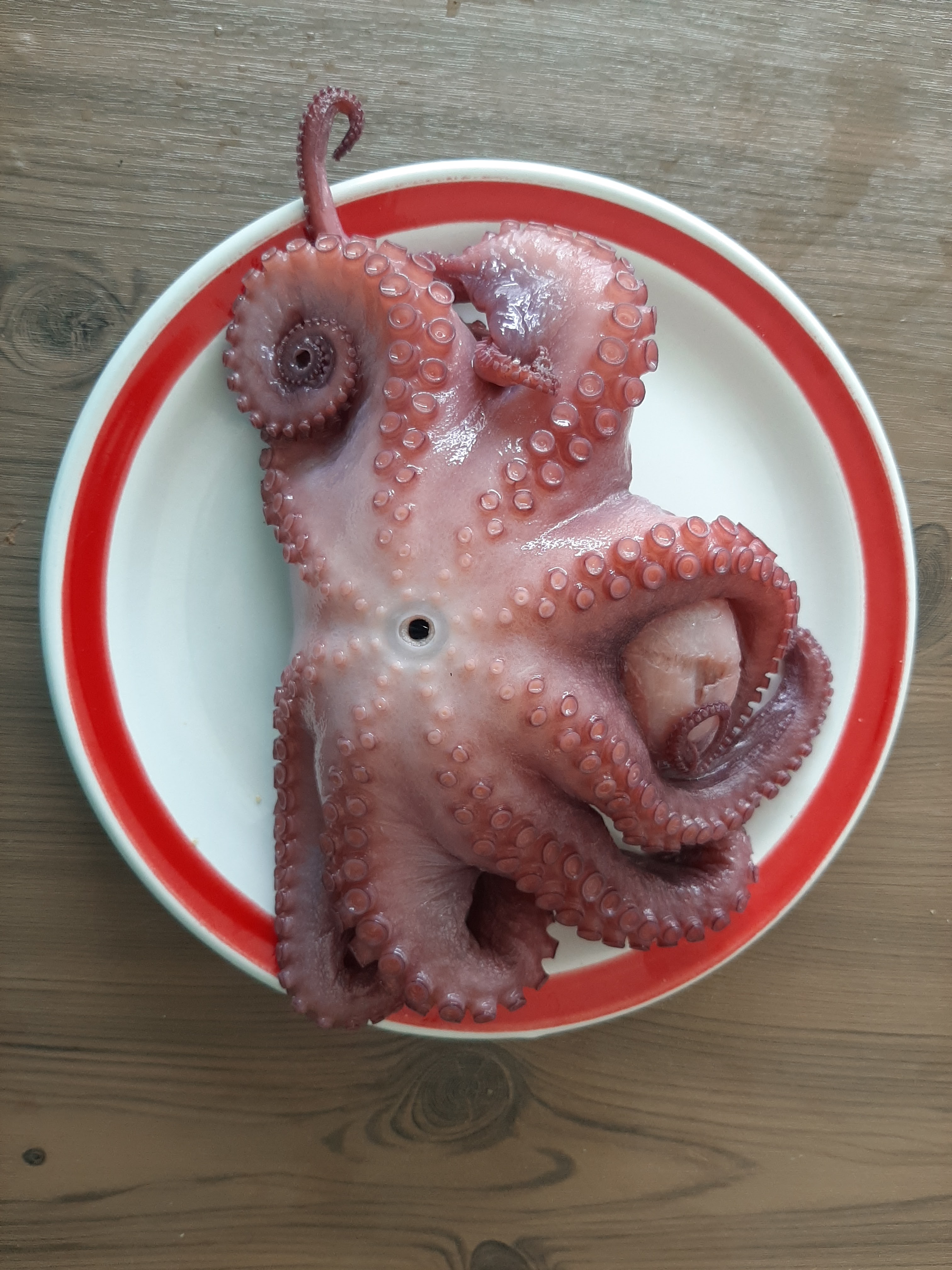 Expendio de mariscos “Acámbarones” image 2