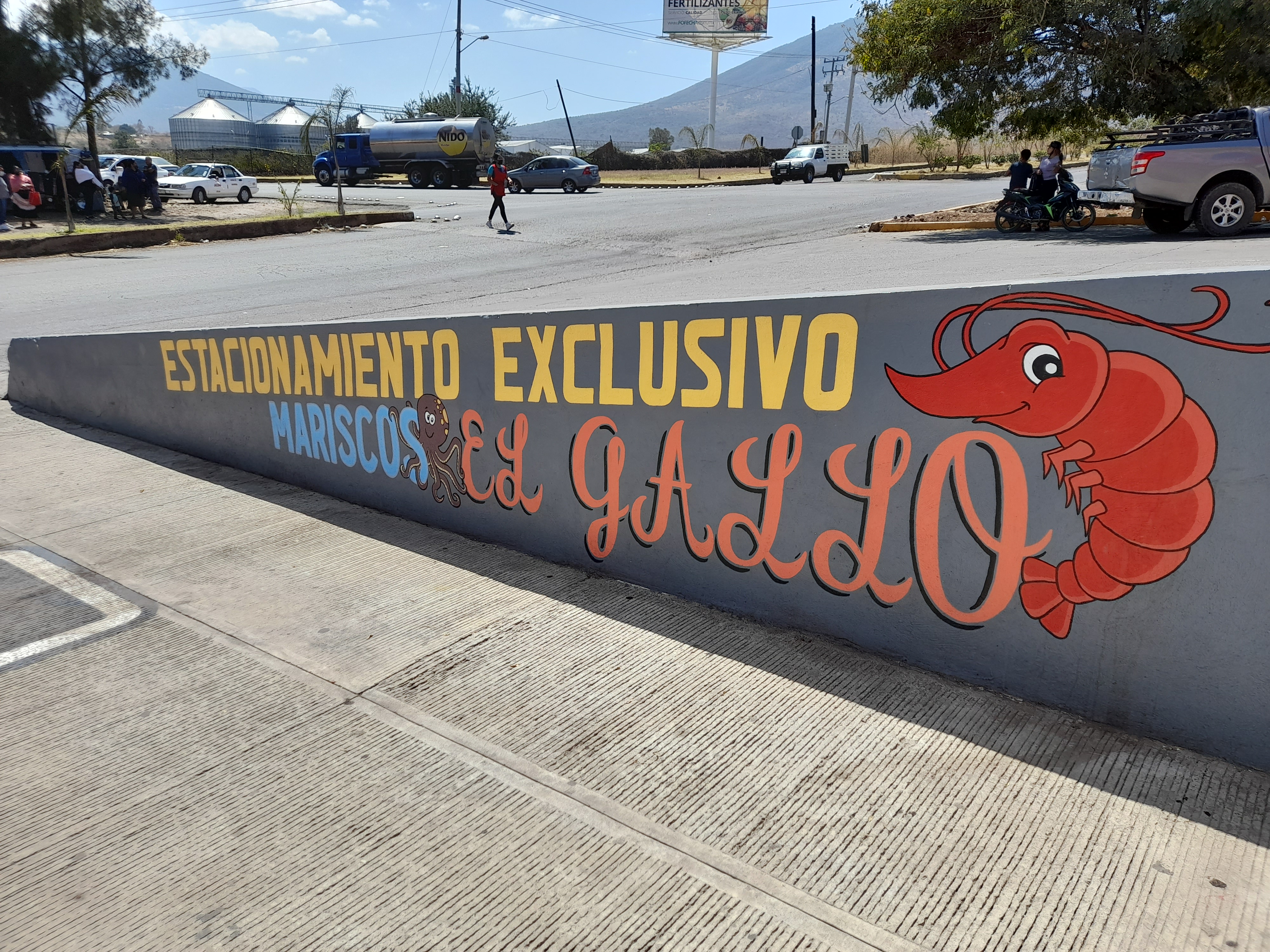 Mariscos "El Gallo" image 8