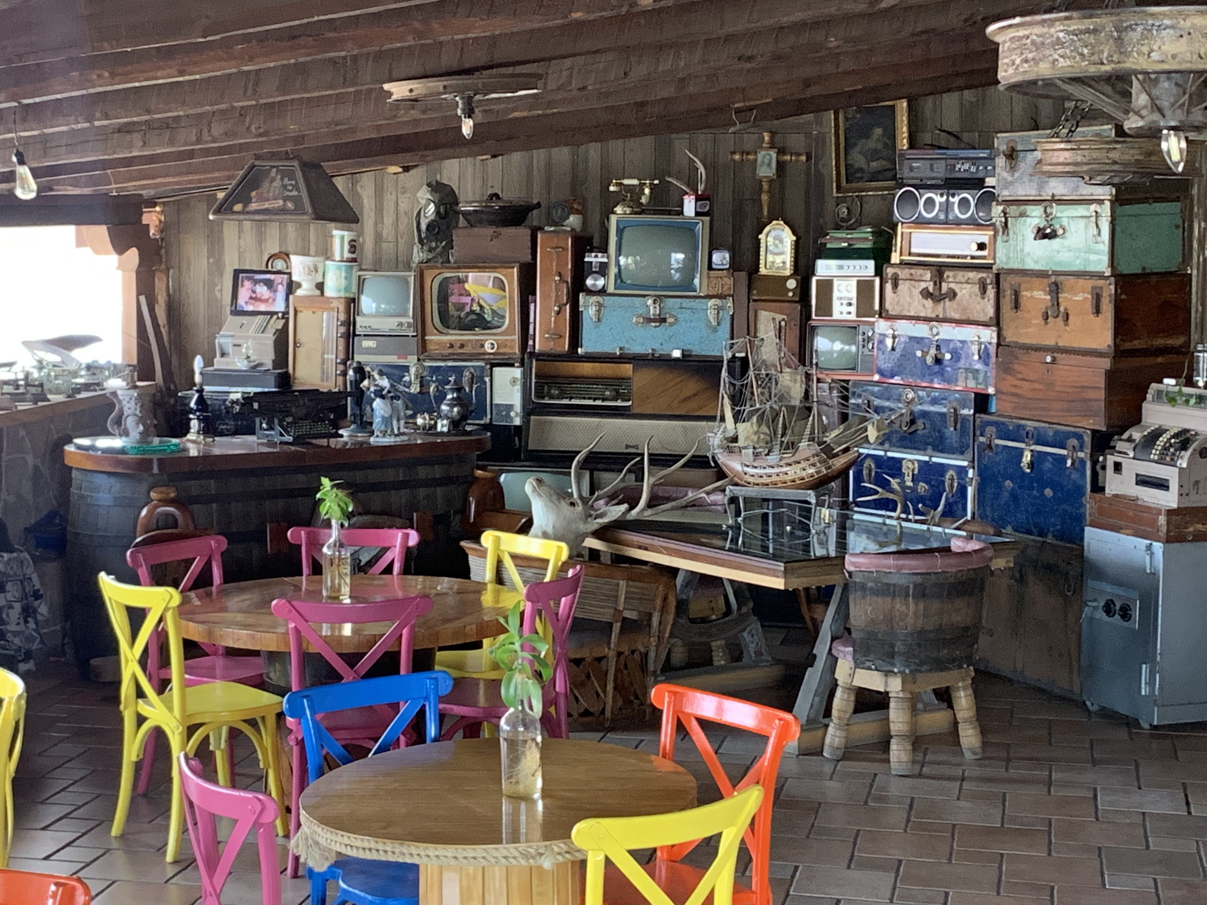 Williams Jacona image 6