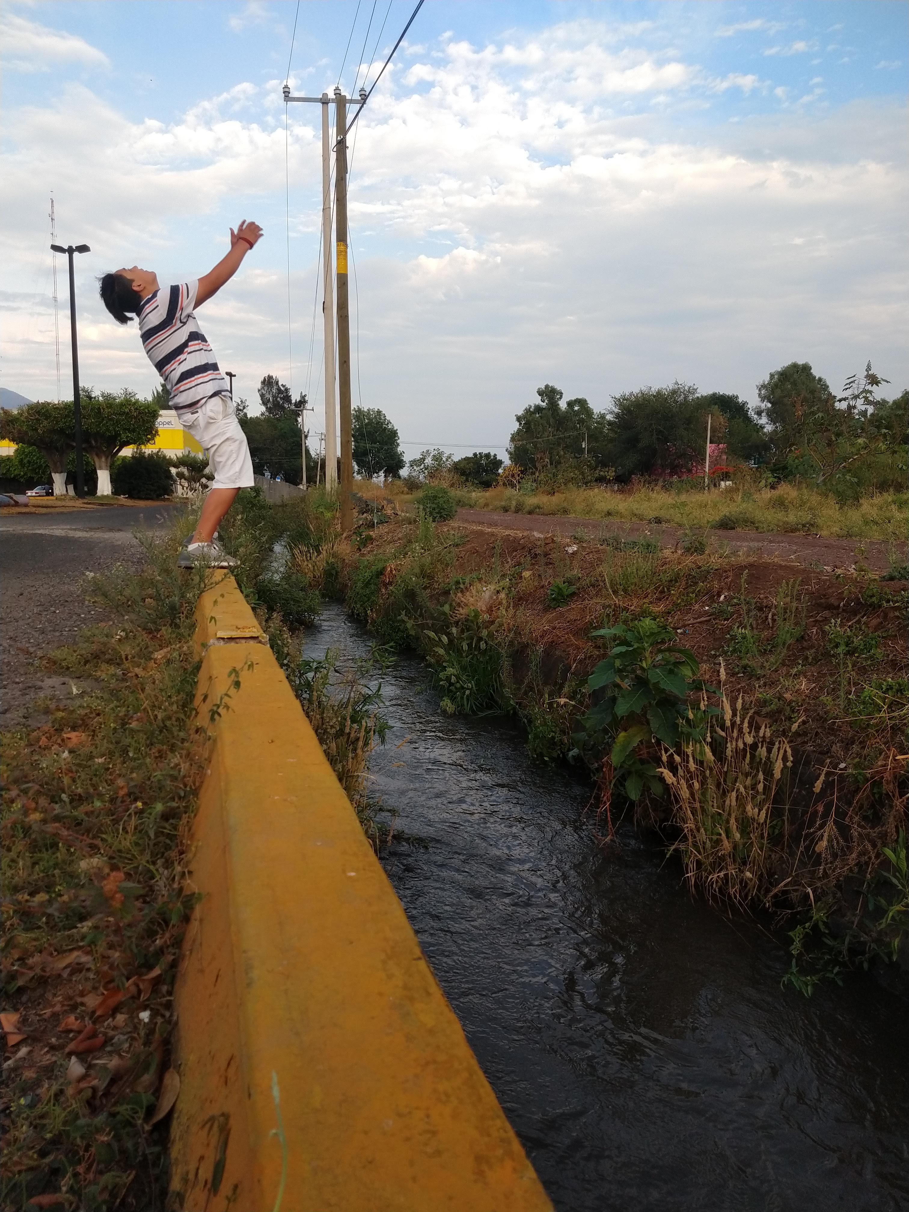 TACOS EL AMIGO image 1