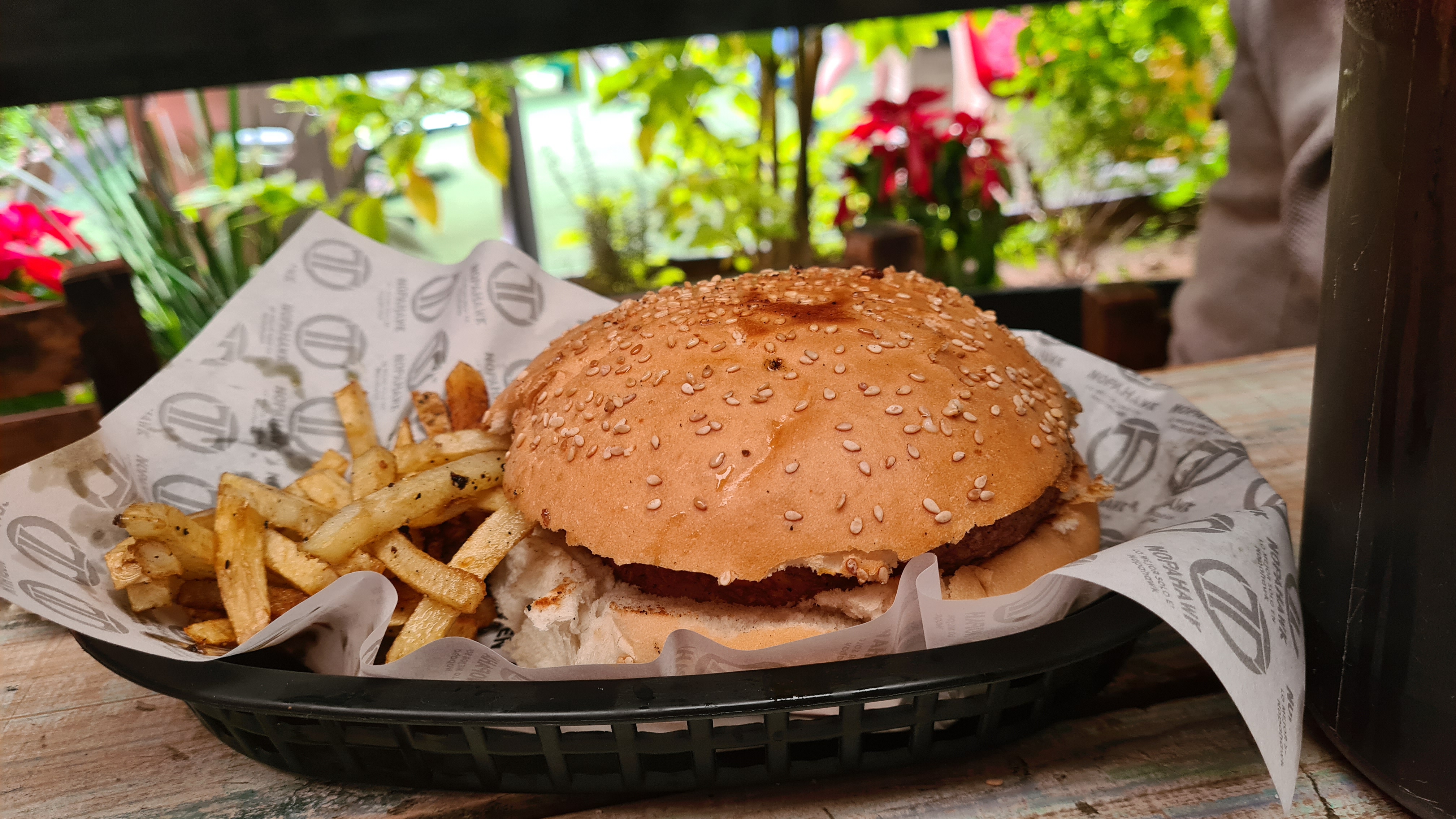 Nopahawk (Zamora) image 8