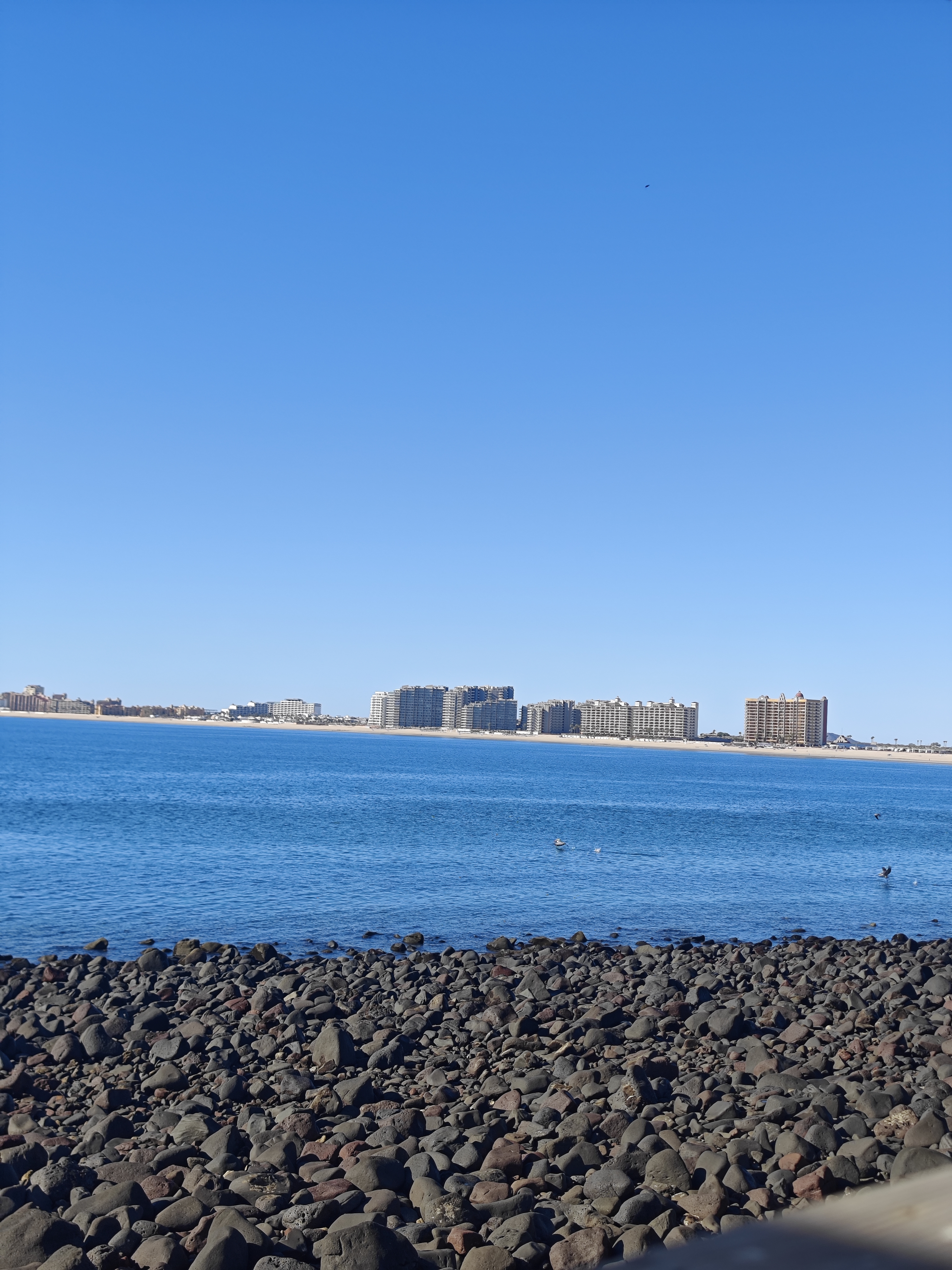 Sr. Amigo Restaurant image 4