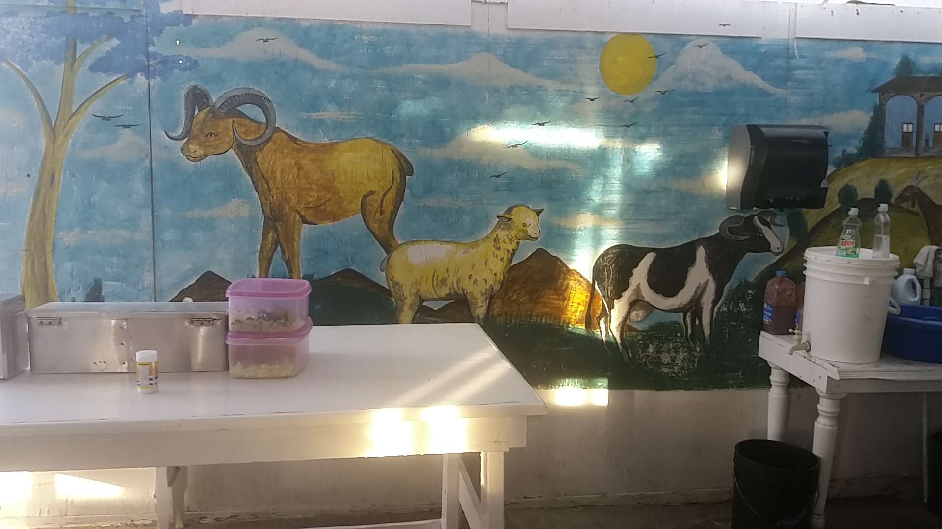 Taqueria El Chon image 7