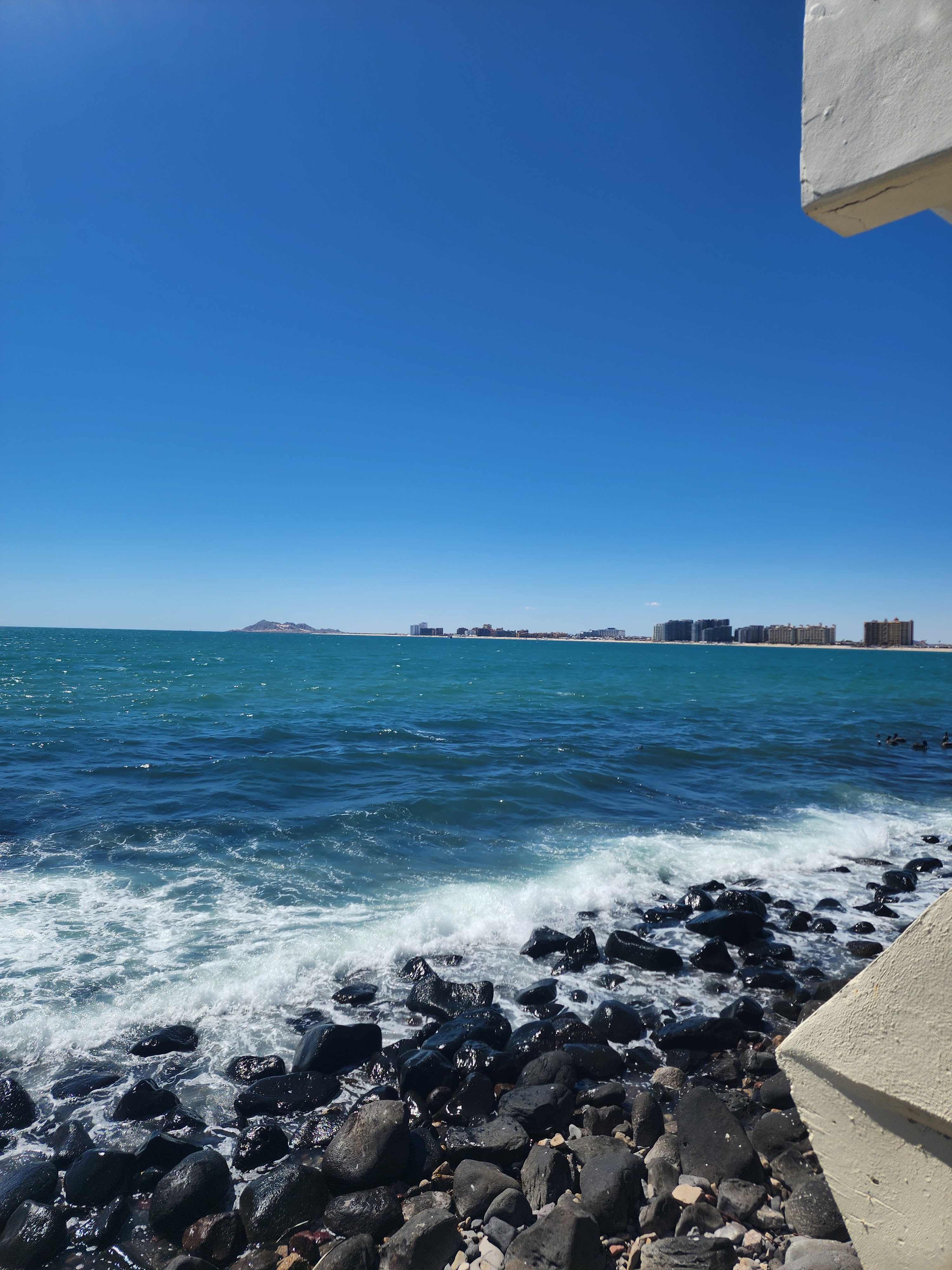 Mary's Sea Food Restaurant image 7