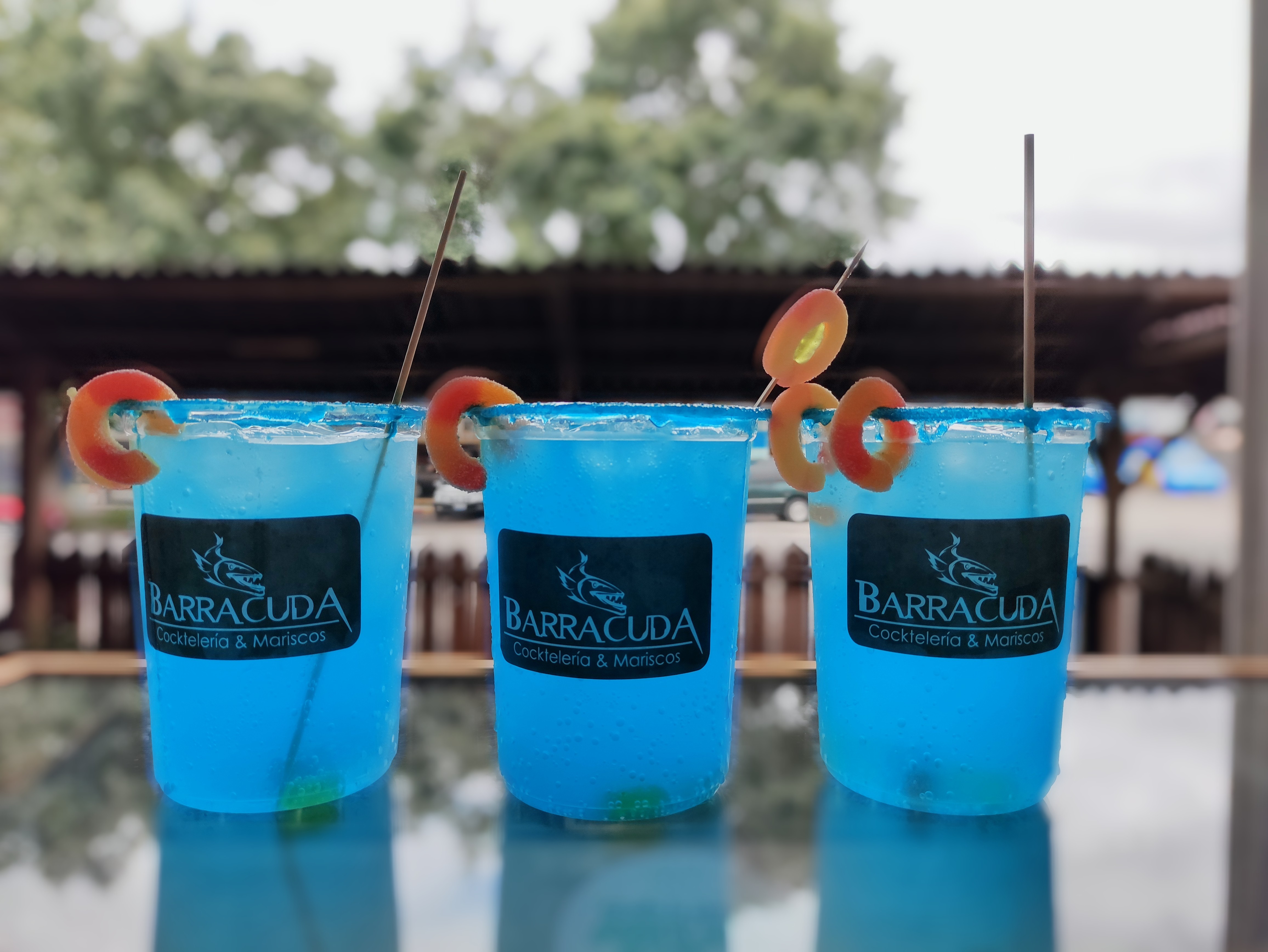 Barracuda Huauchinango image 6