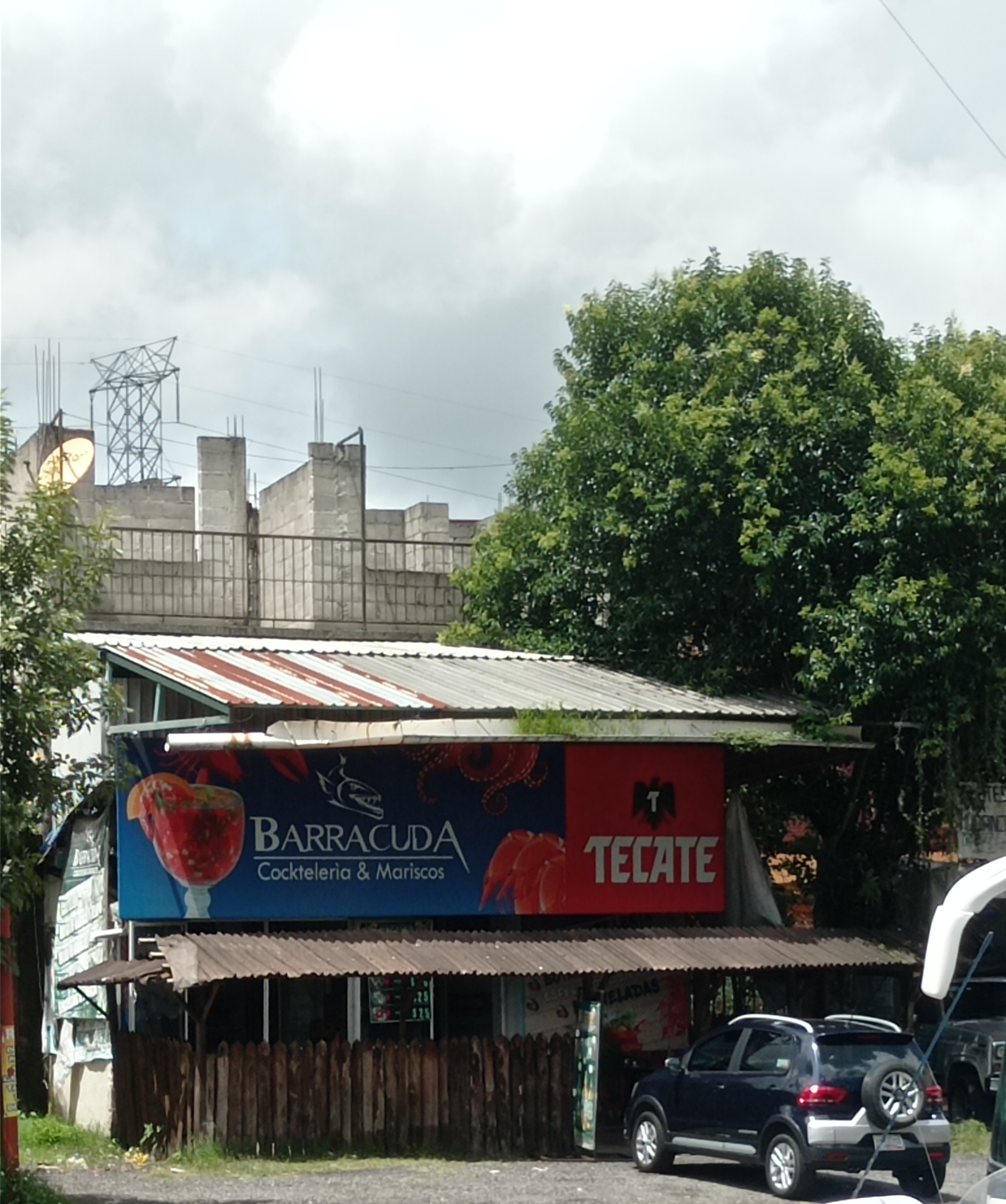 Barracuda Huauchinango image 8