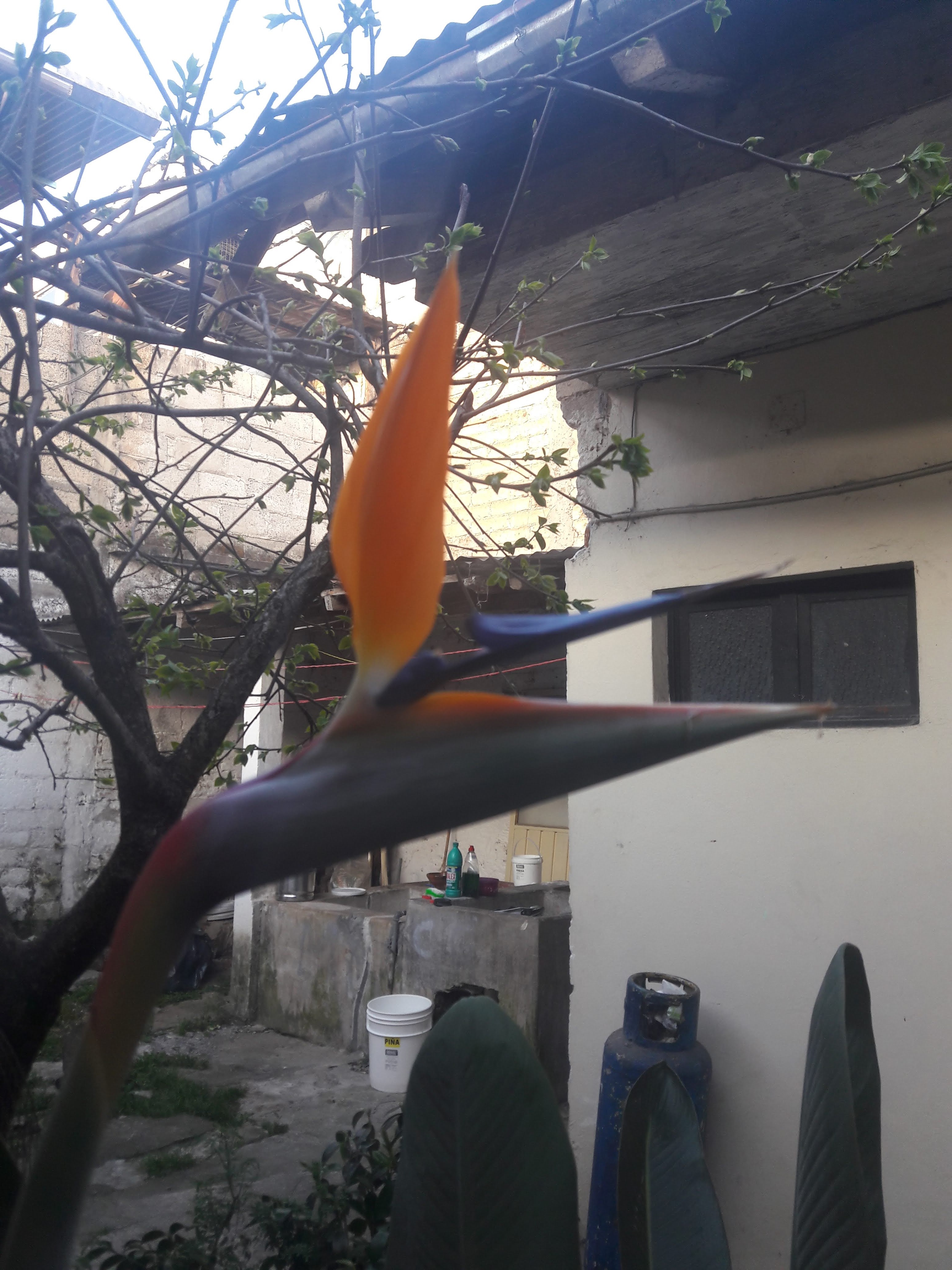 Las Tortas De Don Cris image 3