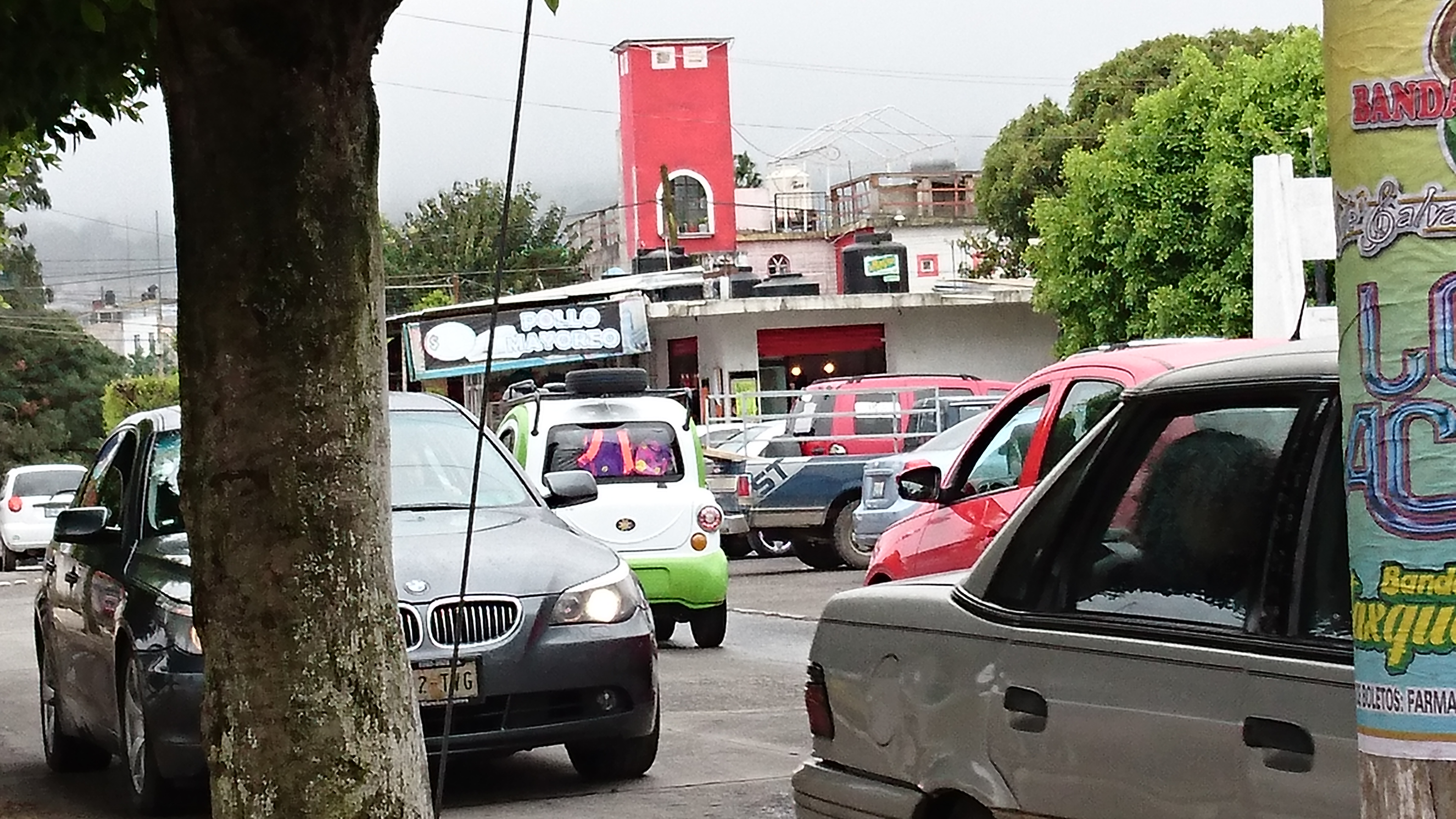 Tacos "Mixiotes Martinez" image 7