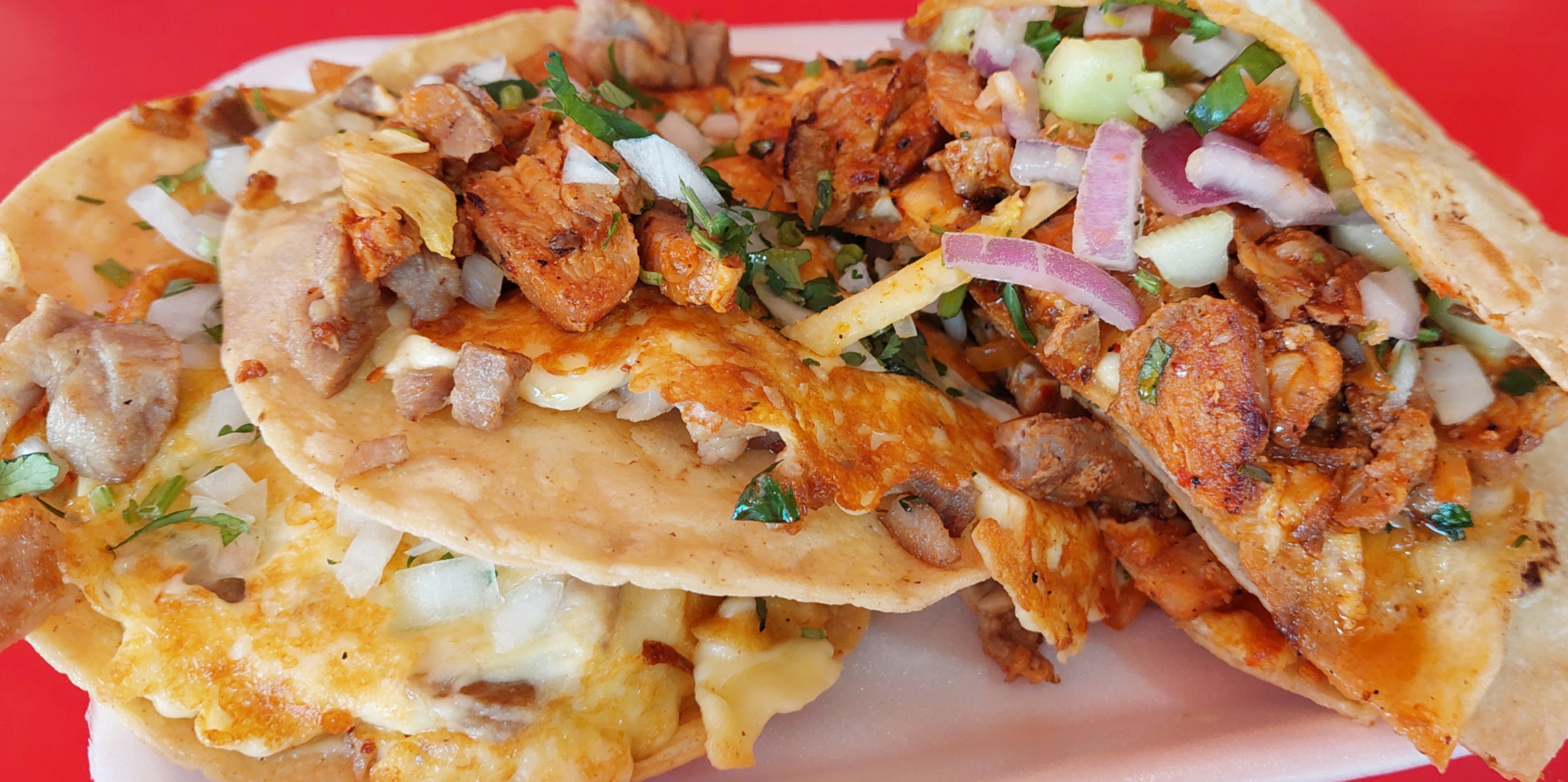 Taquería el Faraon image 2