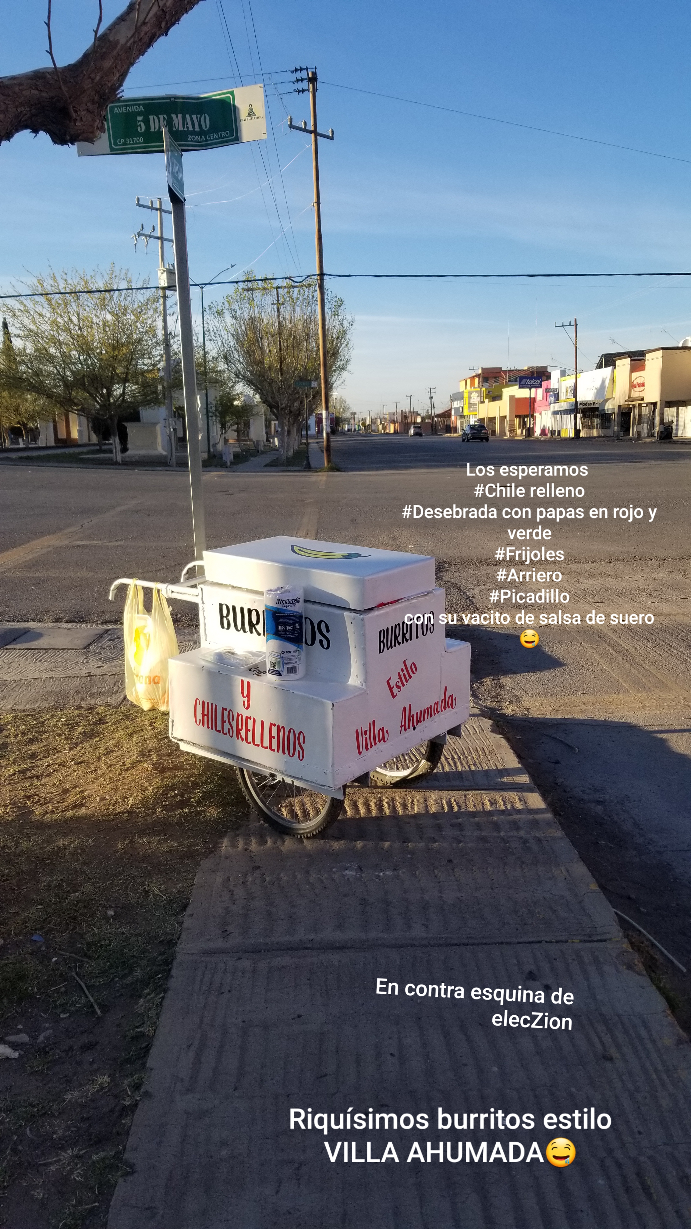 Burritos estilo villa ahumada ( la regis) image 3