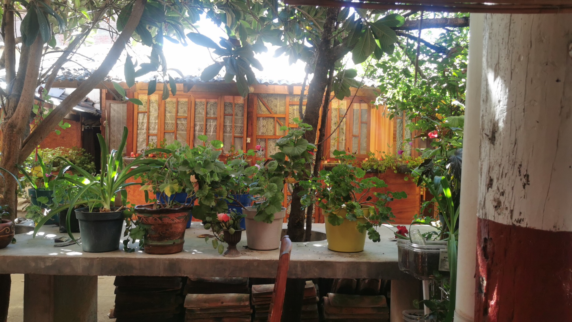 Restaurante La Alcachofa image 7