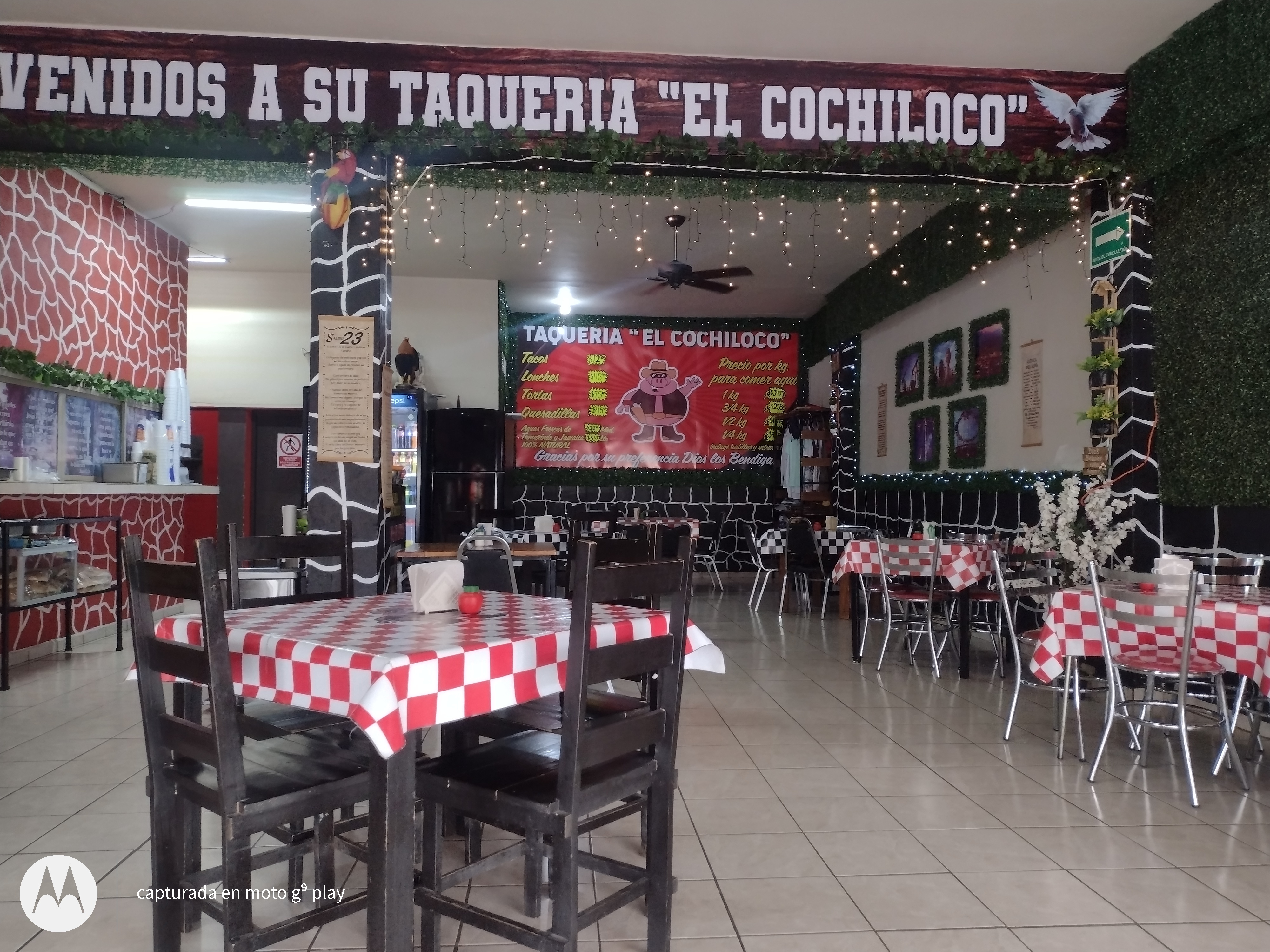Taqueria El Cochiloco image 3
