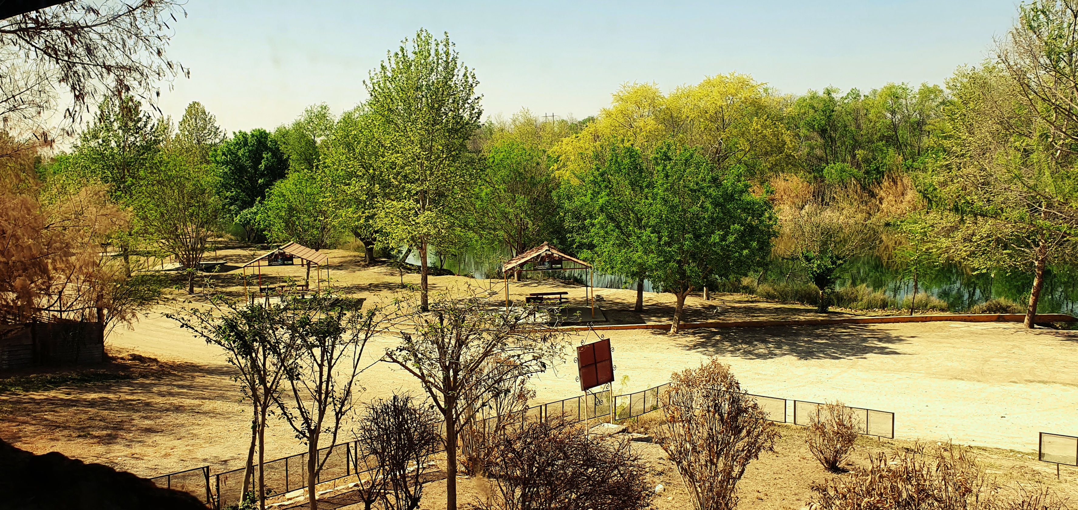 La Zapa Restaurant Bar image 4