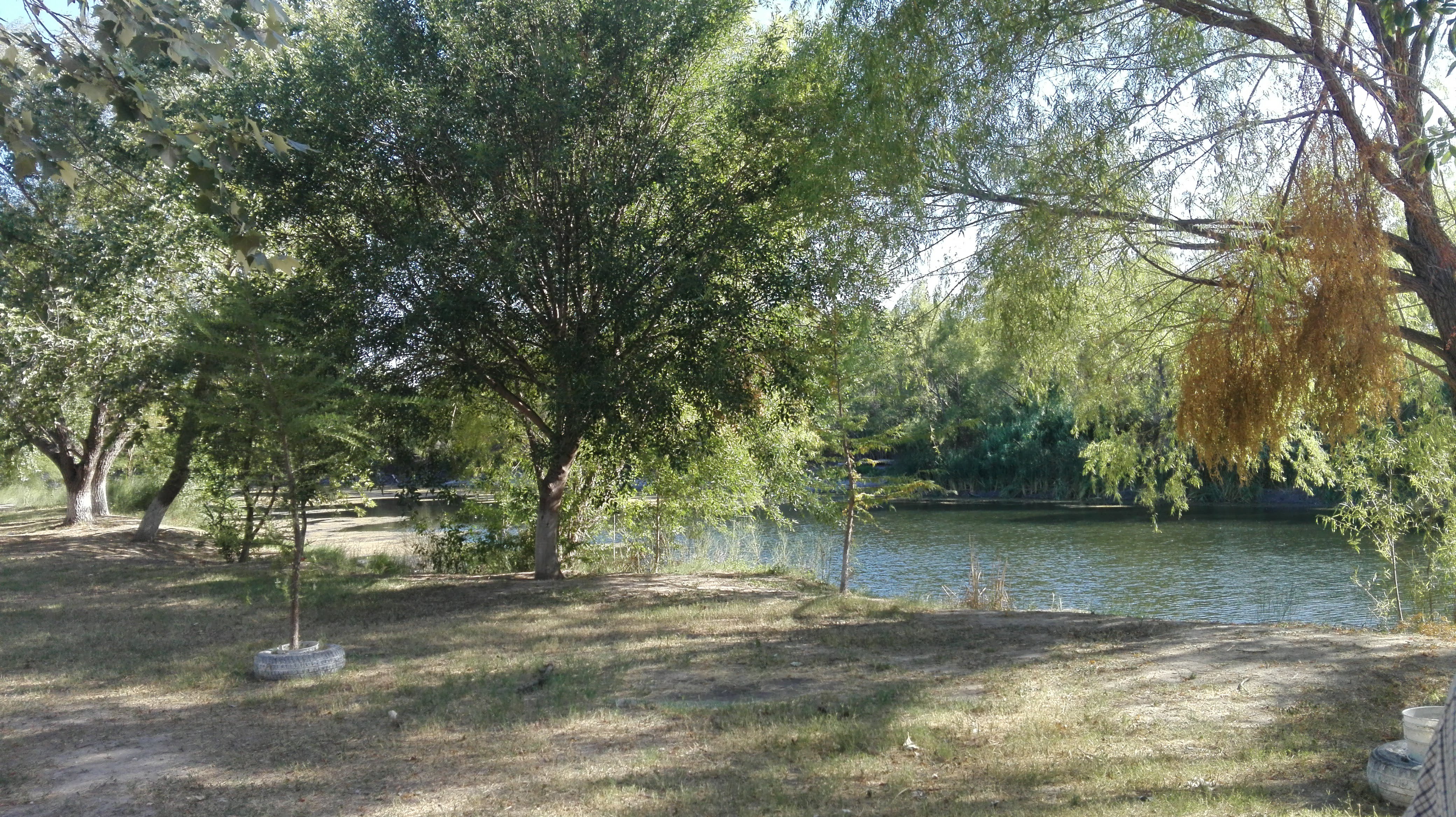 La Zapa Restaurant Bar image 6