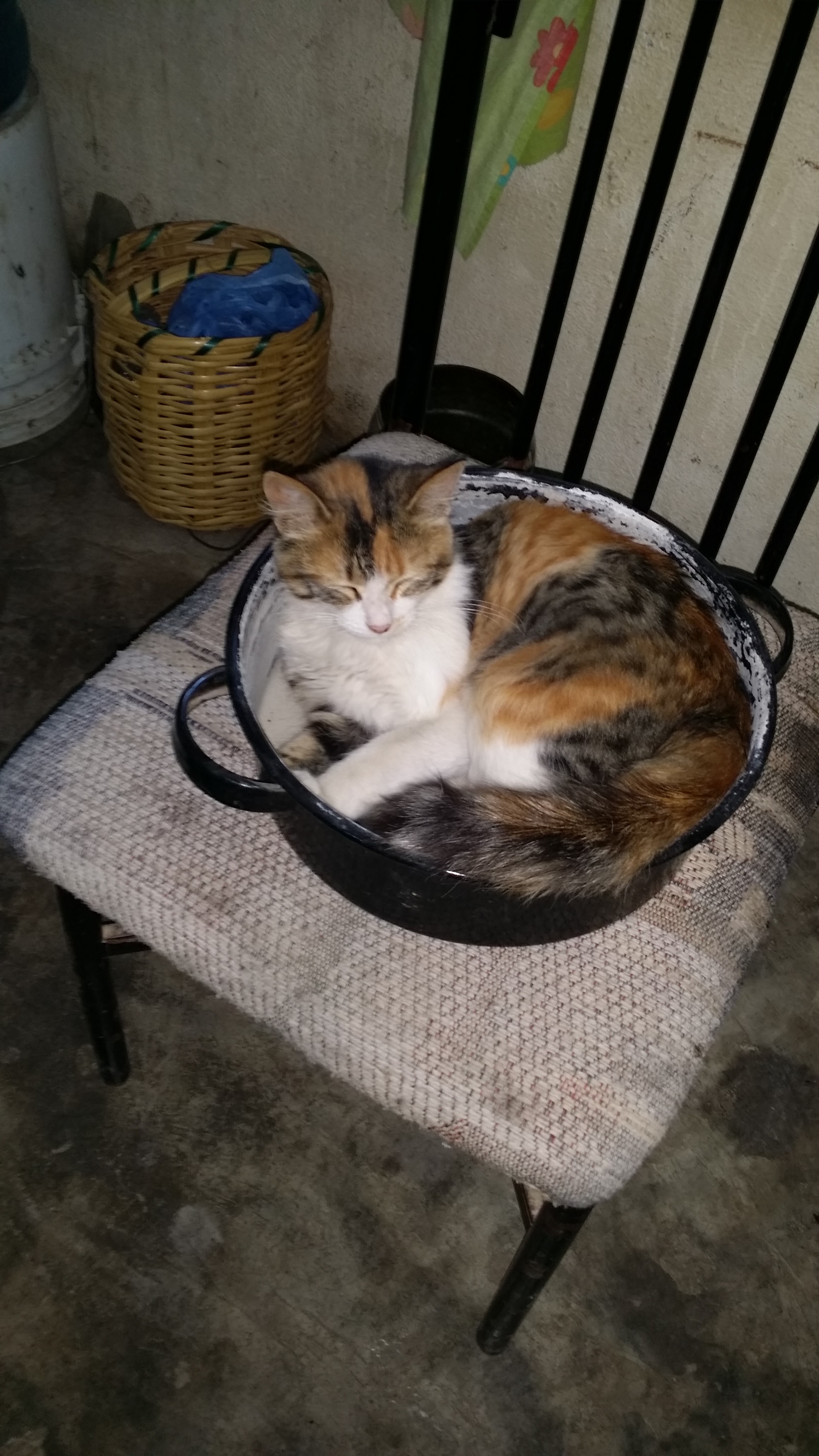 TAKOS LICHA Y CHUY image 7