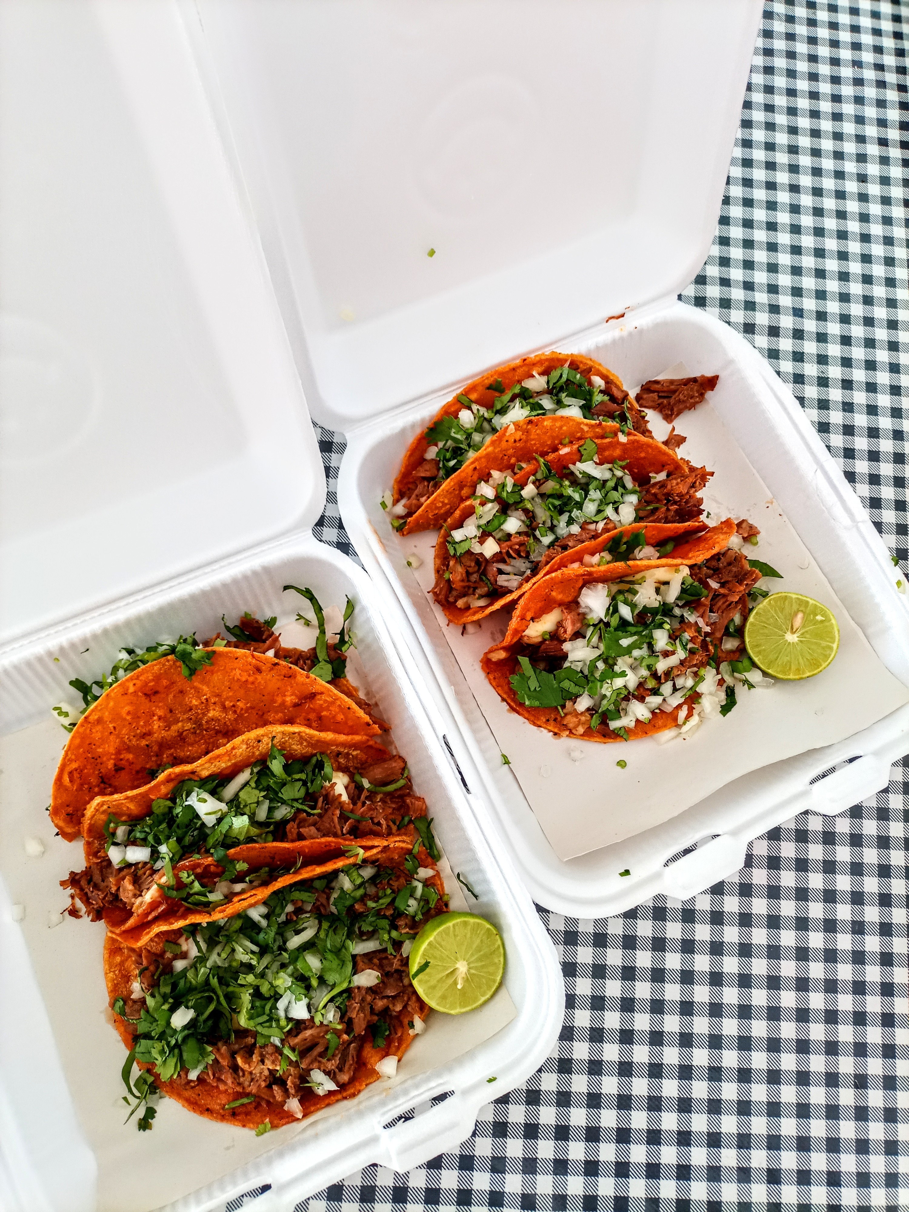 LaTelera Sabinas image 3