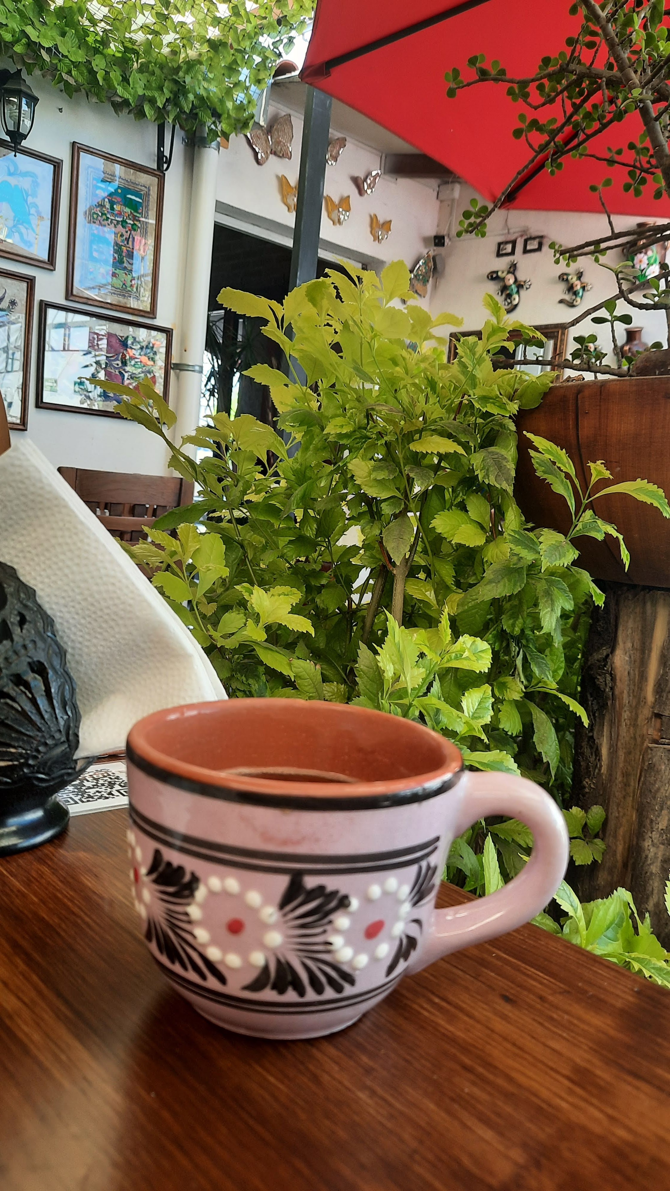 Restaurante El Apapacho image 3