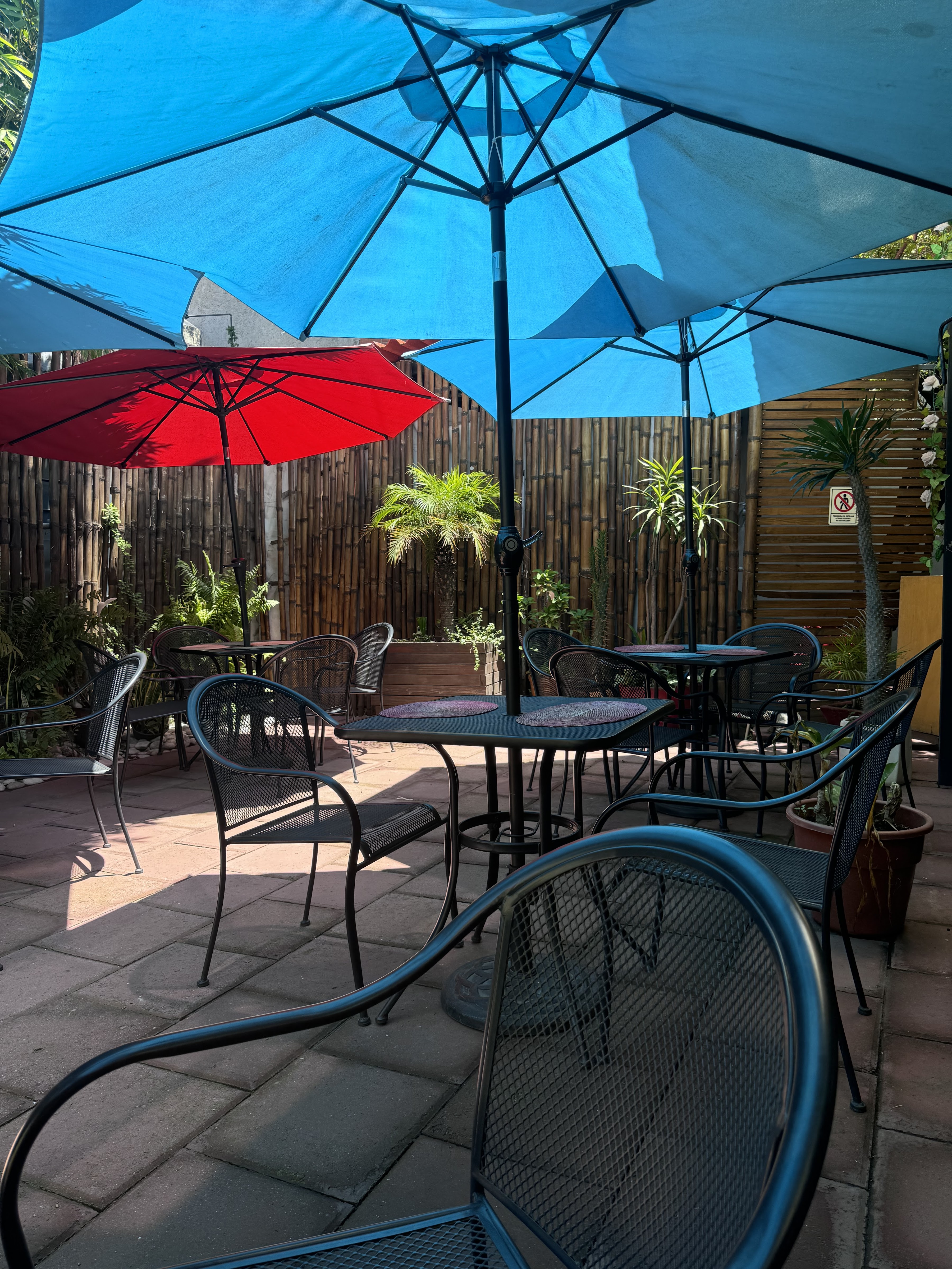 Restaurante El Apapacho image 4