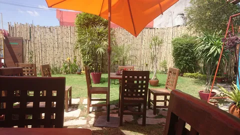 Restaurante El Apapacho image 8