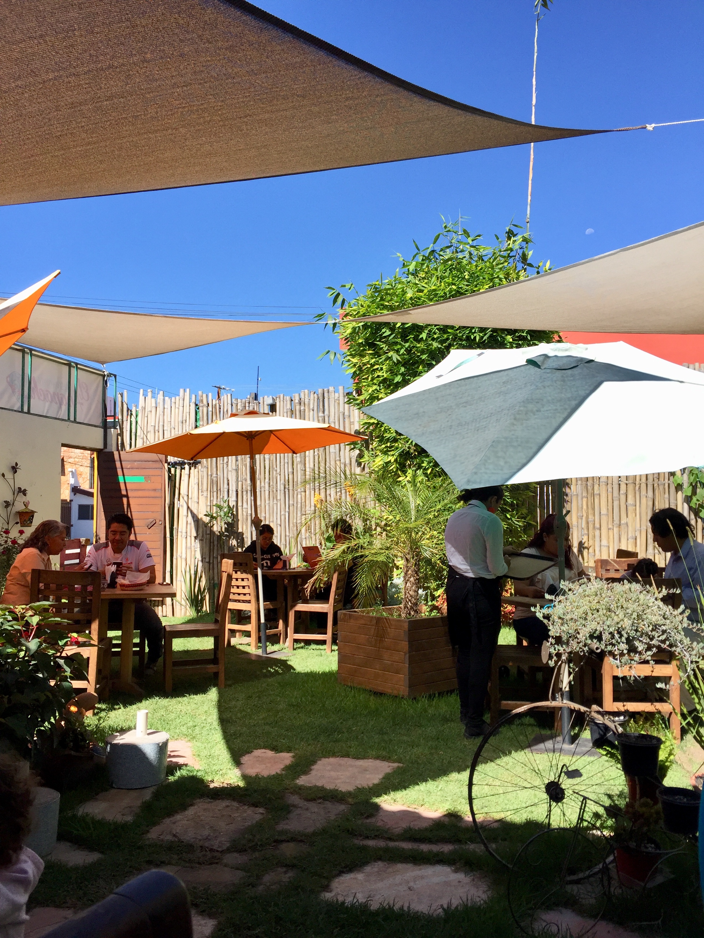 Restaurante El Apapacho image 9