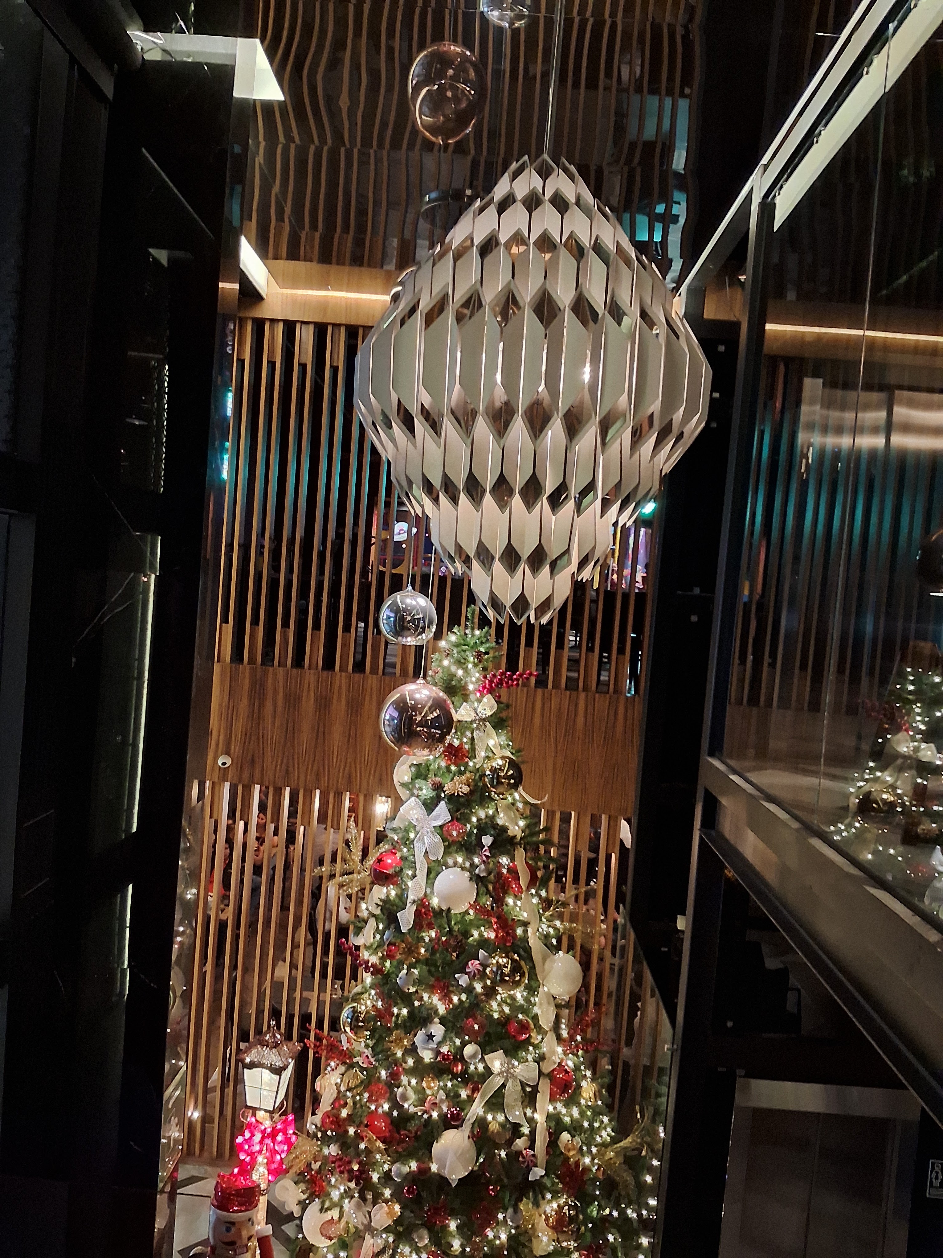 Mr. Pampas Angelópolis image 8