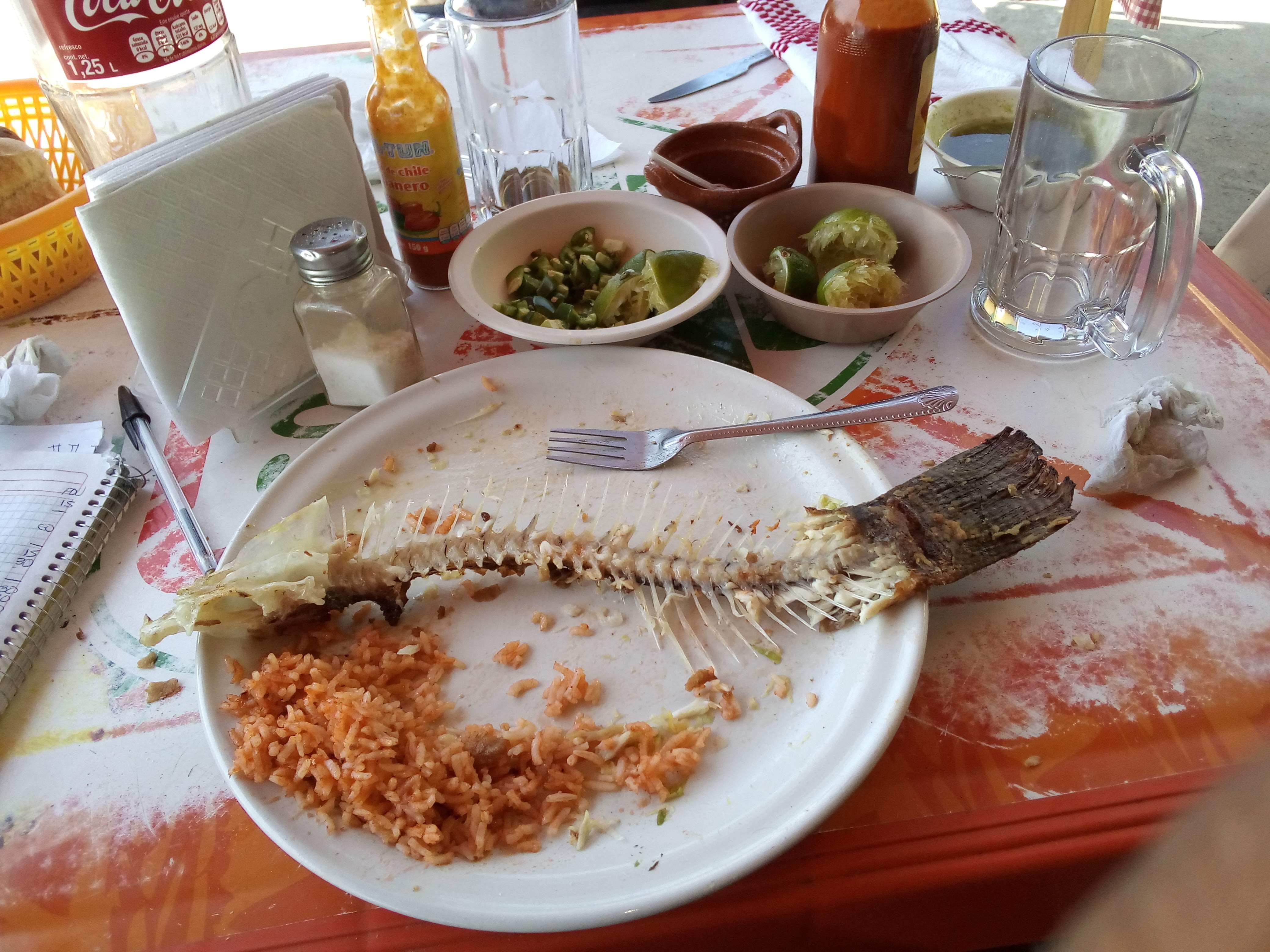 Caldos de Gallina la Güera image 5