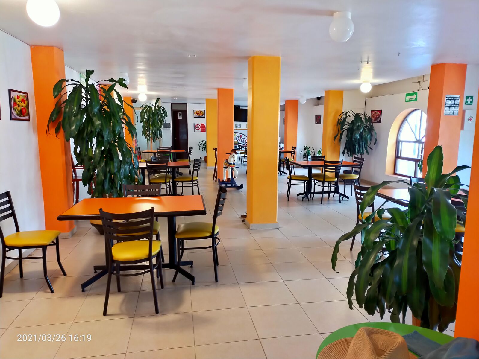 Delicias image 1