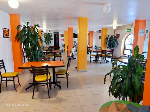 Delicias image 1