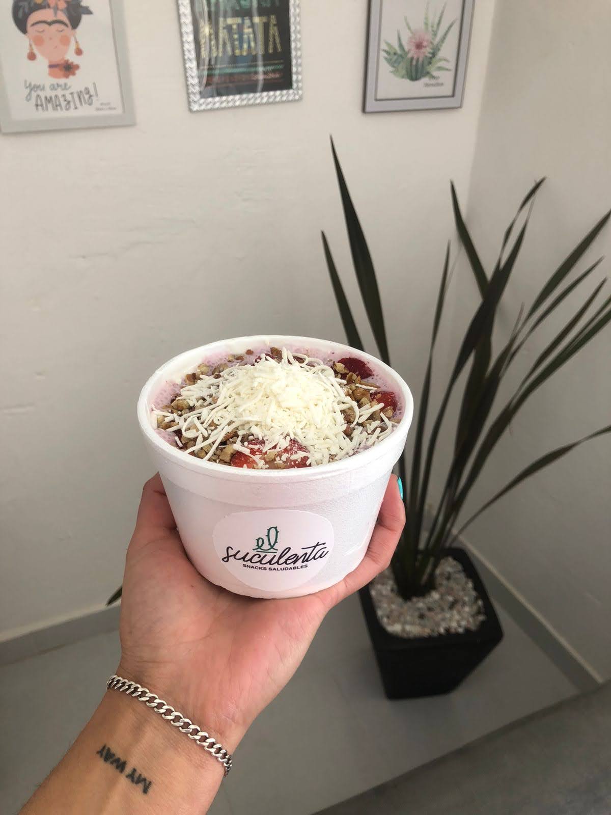 Suculenta snacks saludables image 6