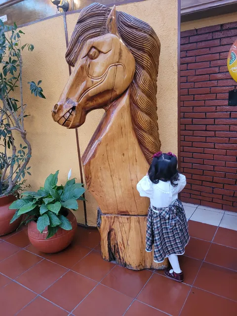 Las Tejas image 7