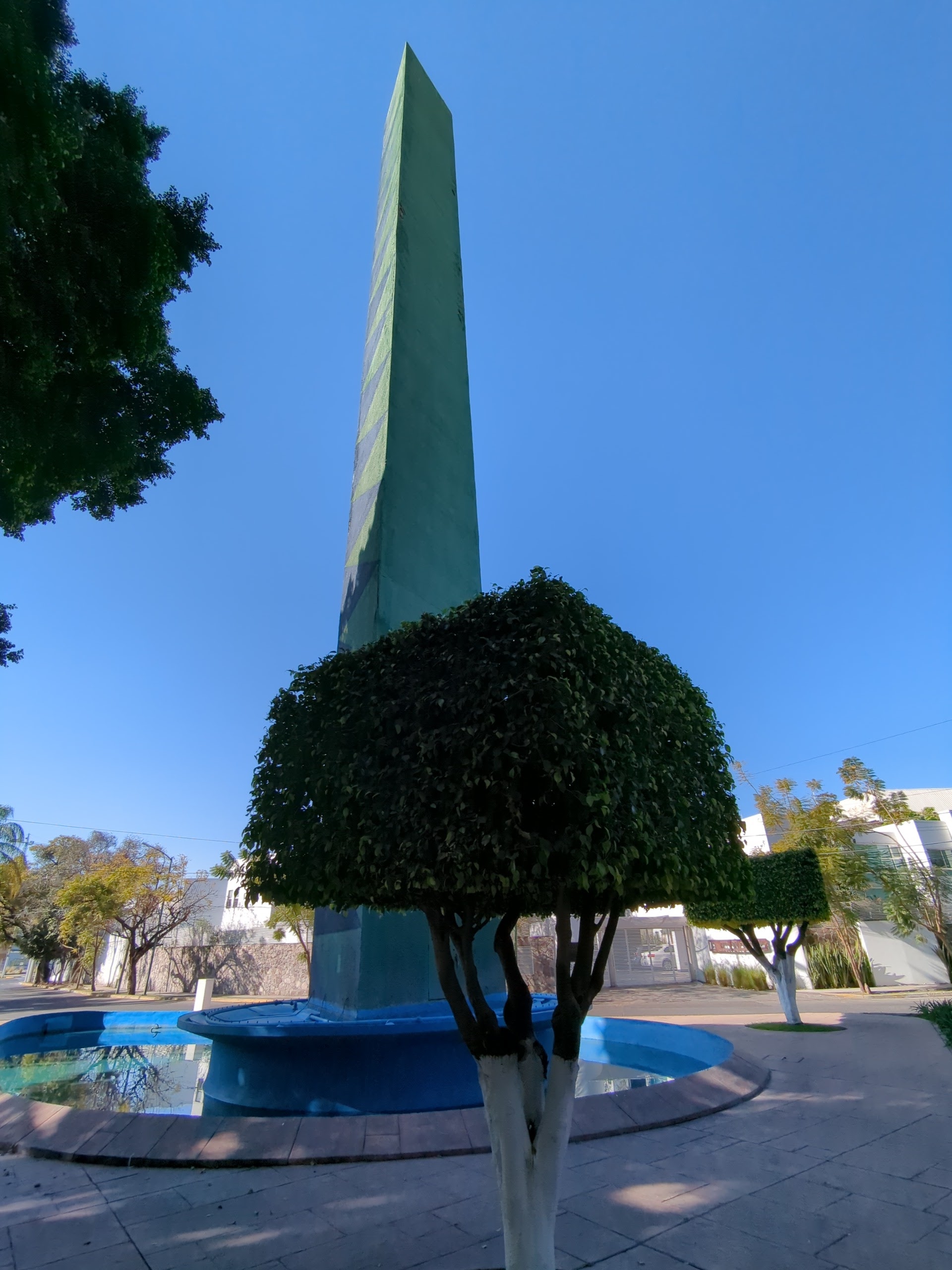 Restaurante Las Jacarandas image 6