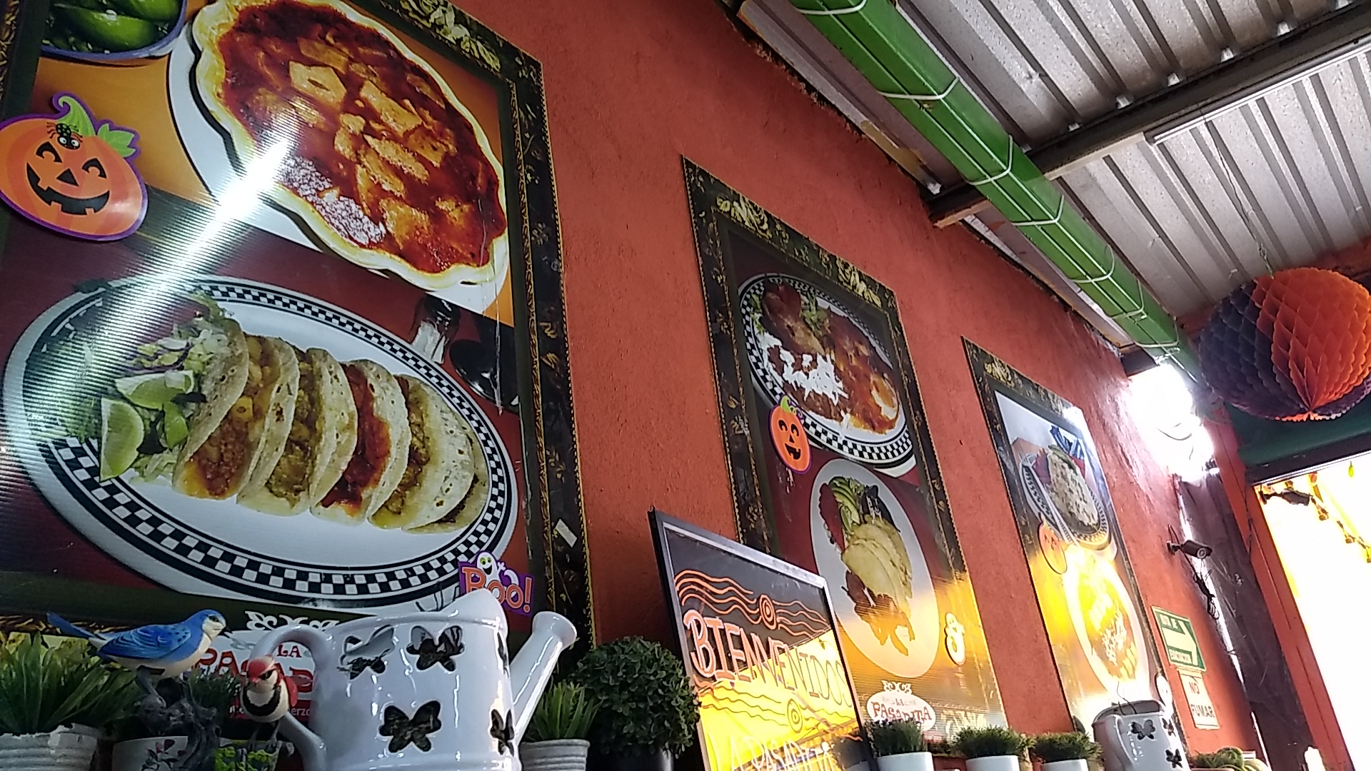 Tacos y Menudo La Pasadita image 8