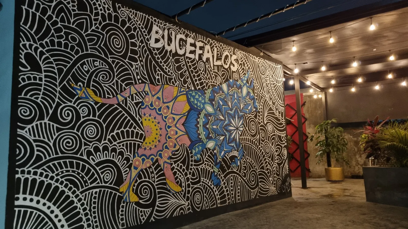 Bucéfalos image 10
