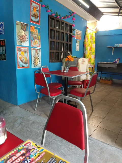 La casa azul image 6
