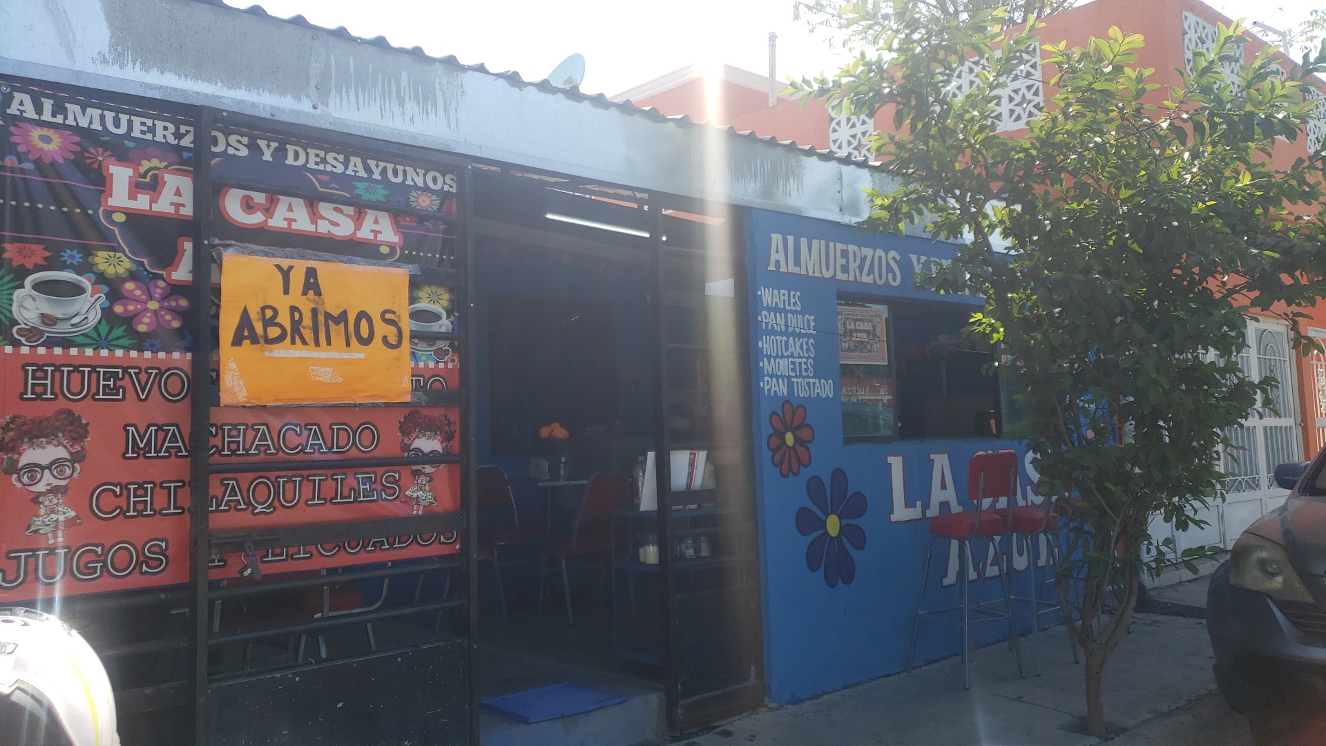 La casa azul image 10