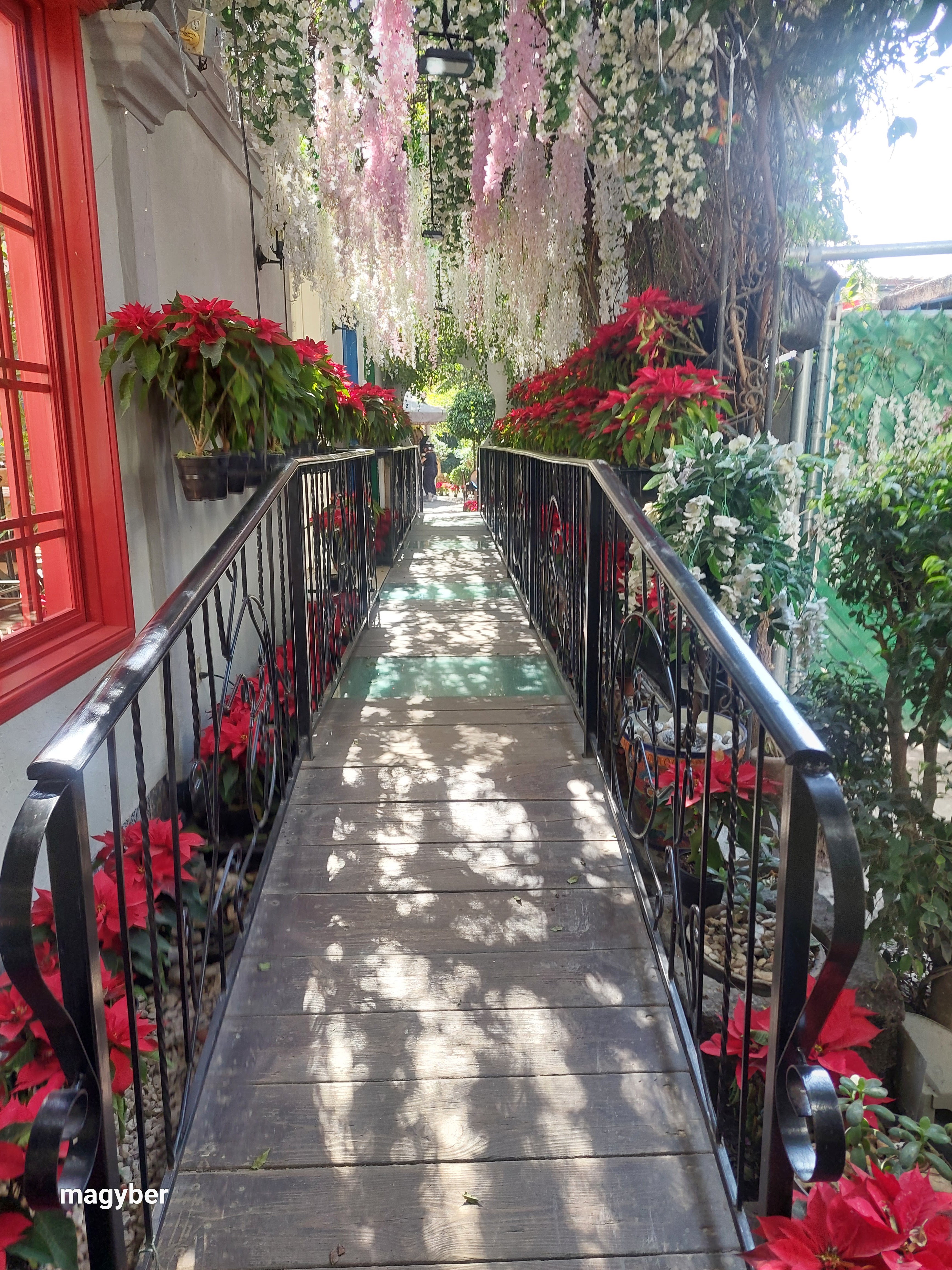 Espíritu Inquieto image 6