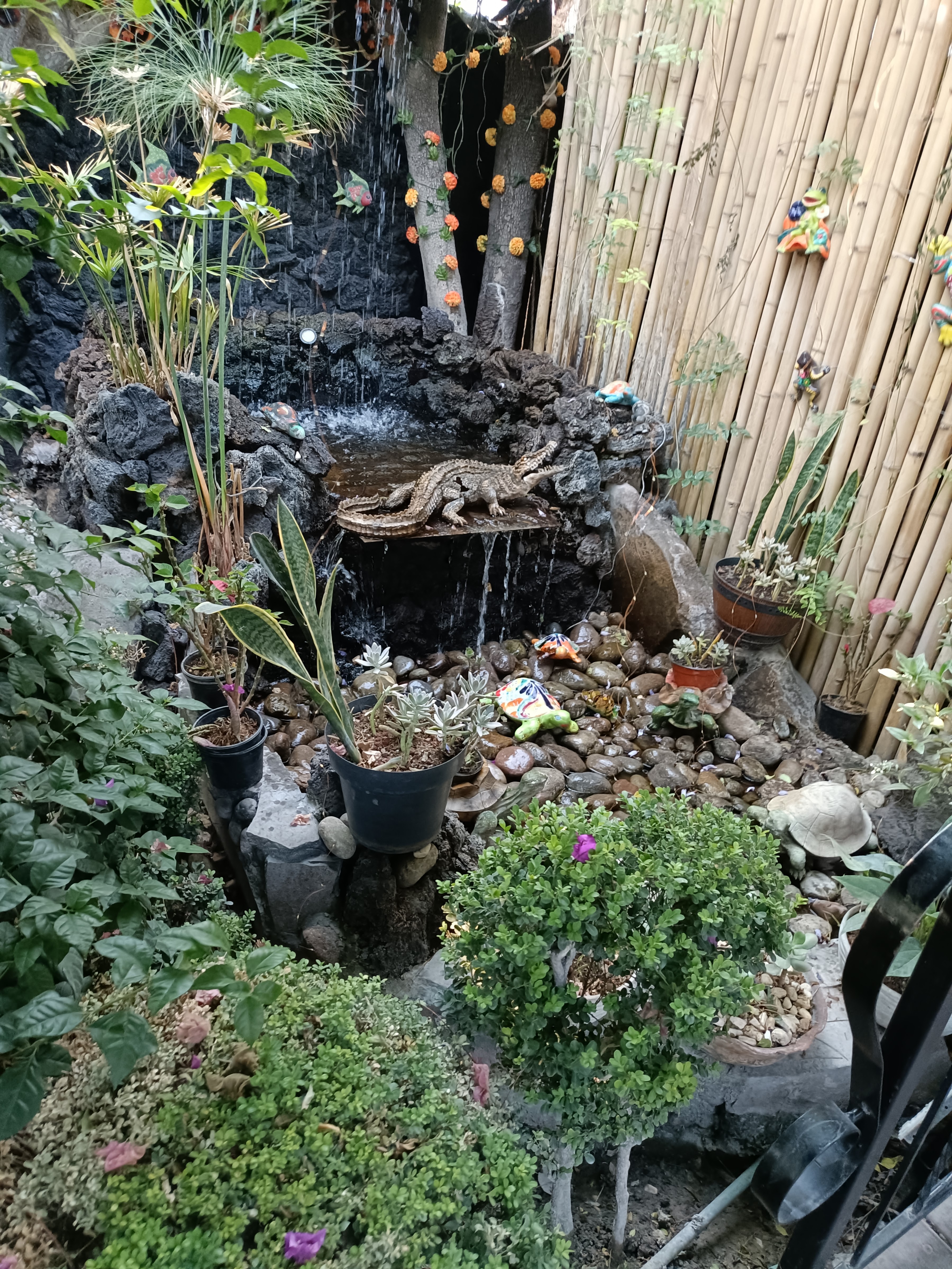 Espíritu Inquieto image 9