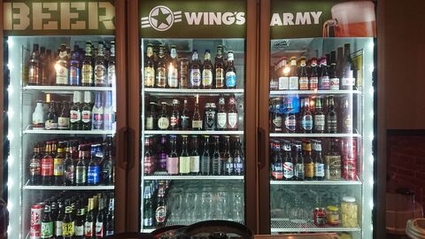 Wing’s Army Tultepec image 8