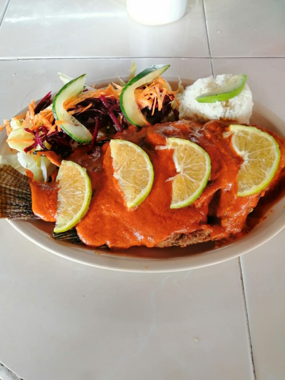 JARDIN el tasajo image 8