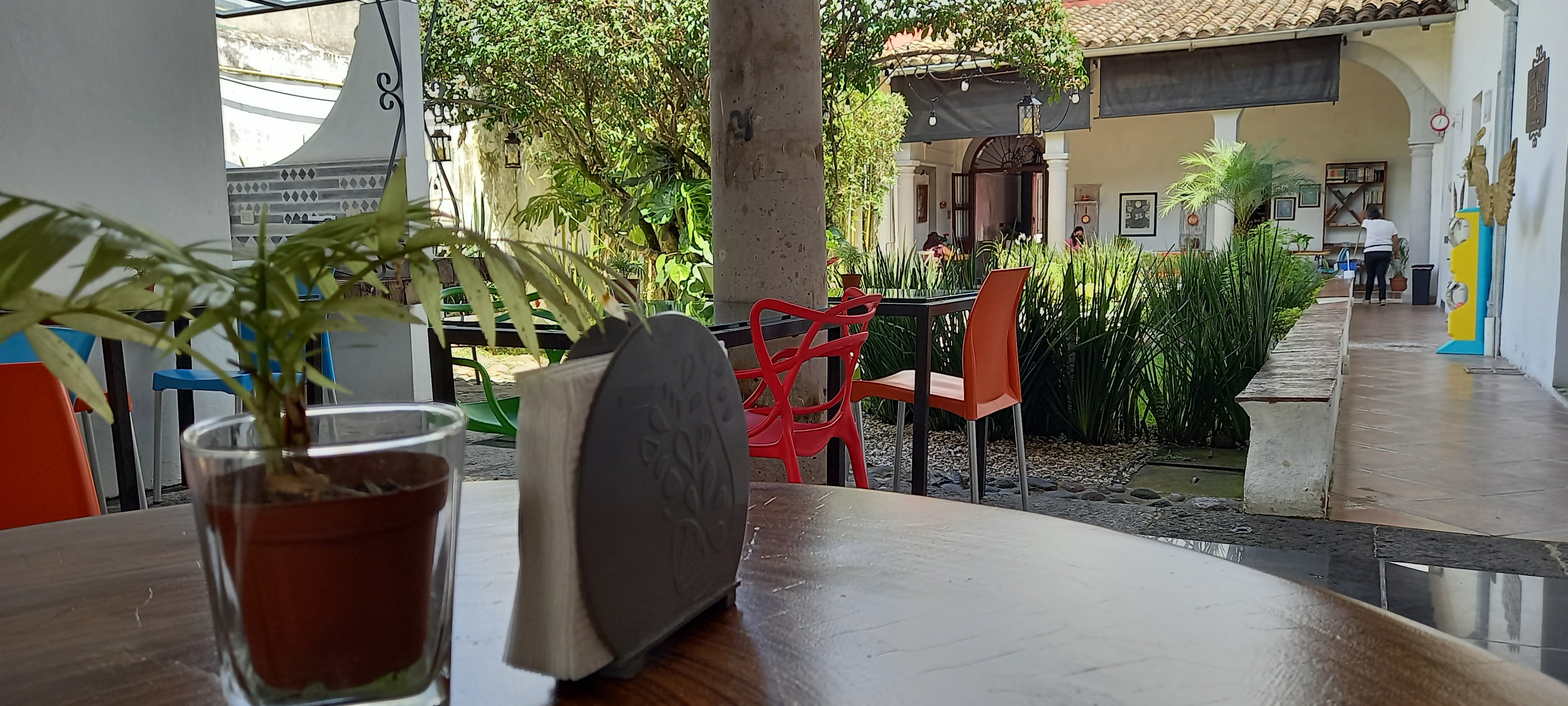 Bossa Nova Coatepec image 1