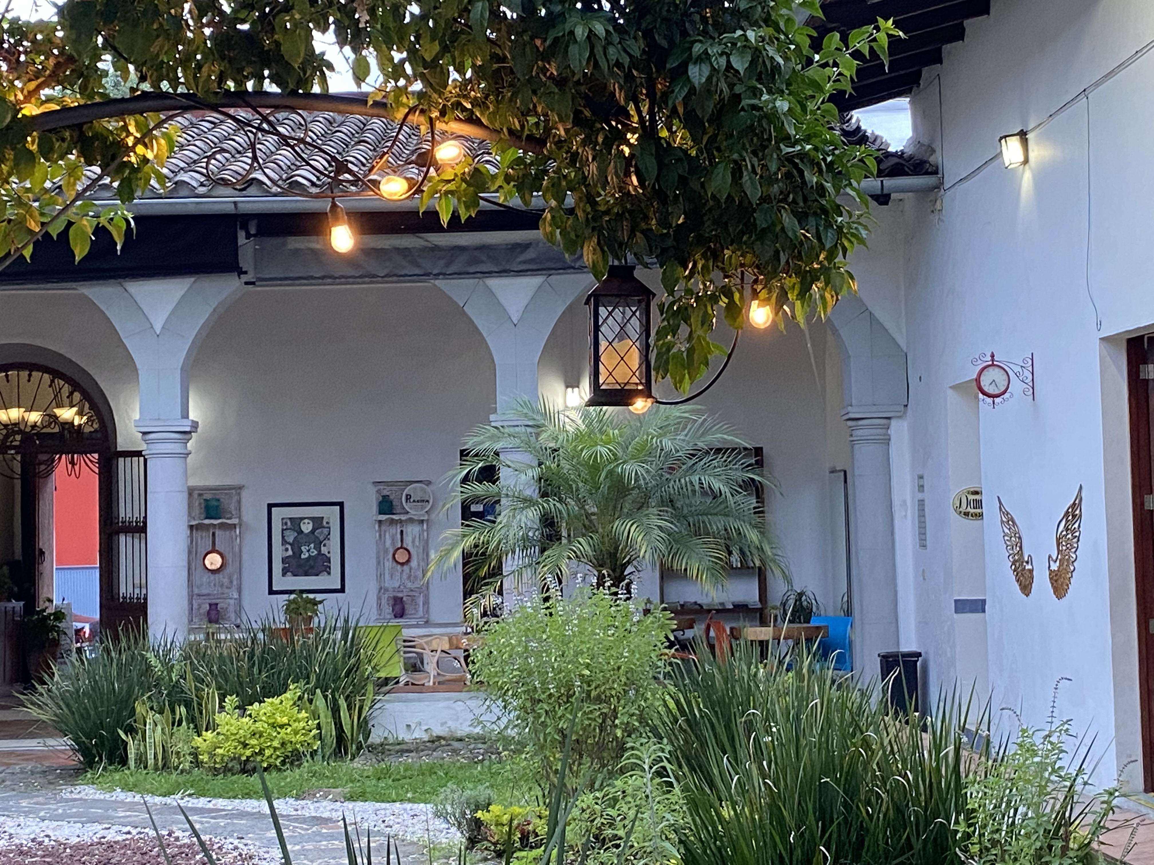 Bossa Nova Coatepec image 4