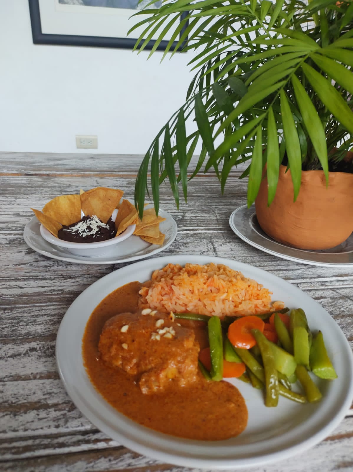 Bossa Nova Coatepec image 6